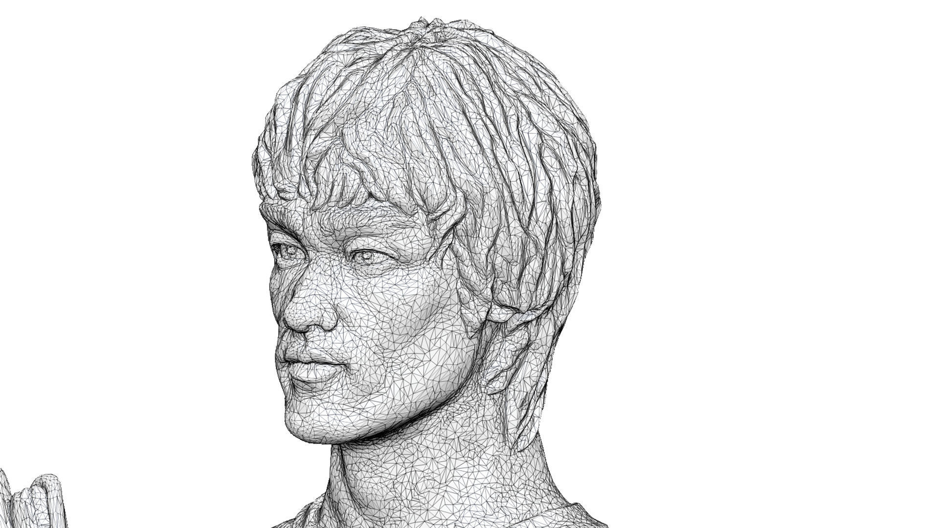 Bruce Lee Bust for 3D printing STL 3D print model_22
