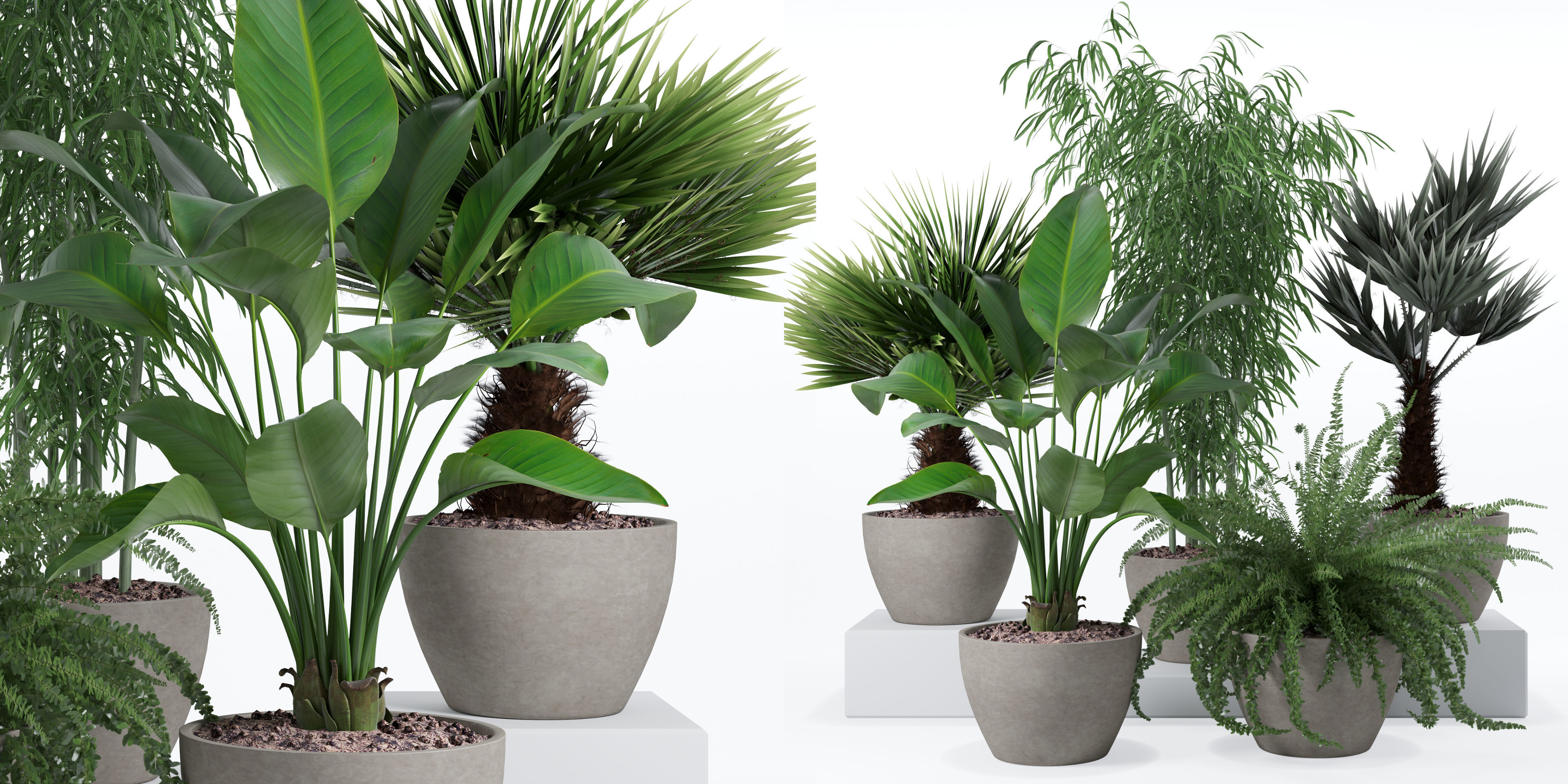 Plants collection 132 3D model_8