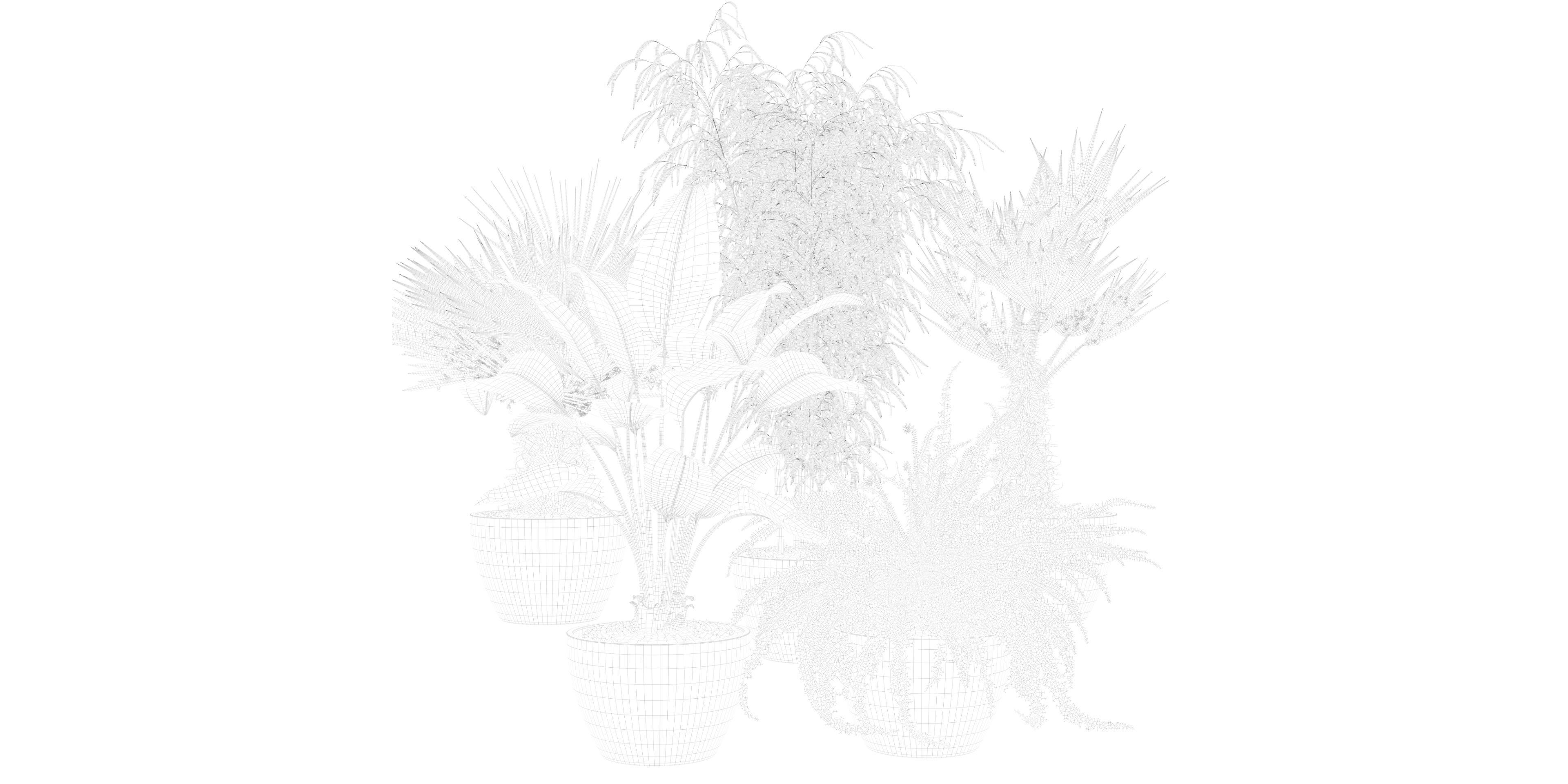 Plants collection 132 3D model_21