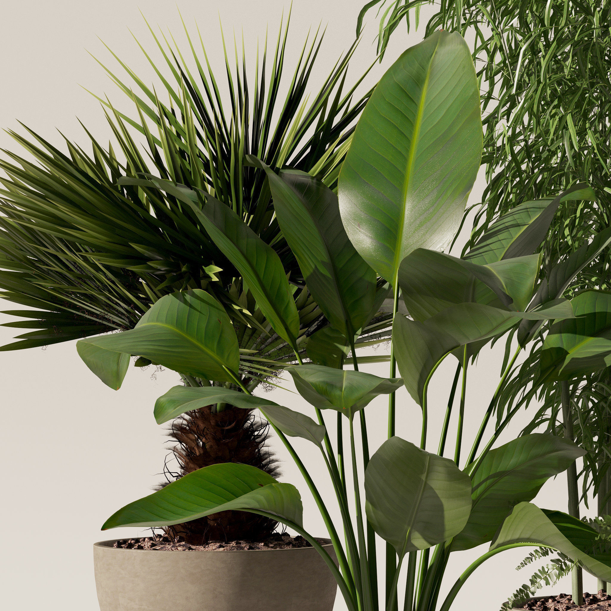 Plants collection 132 3D model_12