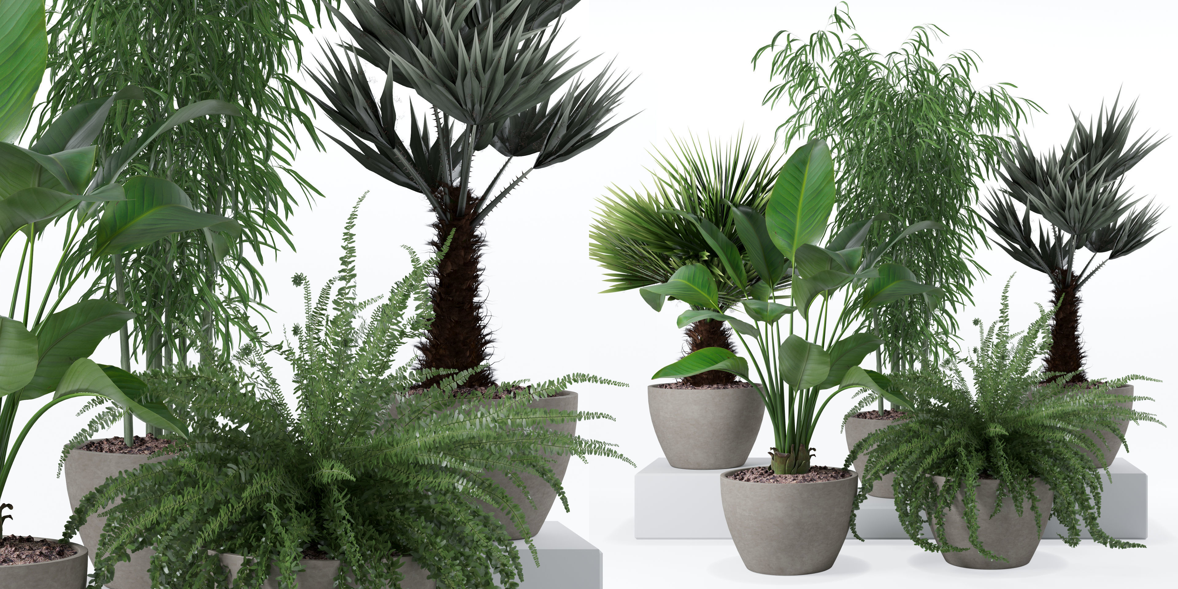 Plants collection 132 3D model_5