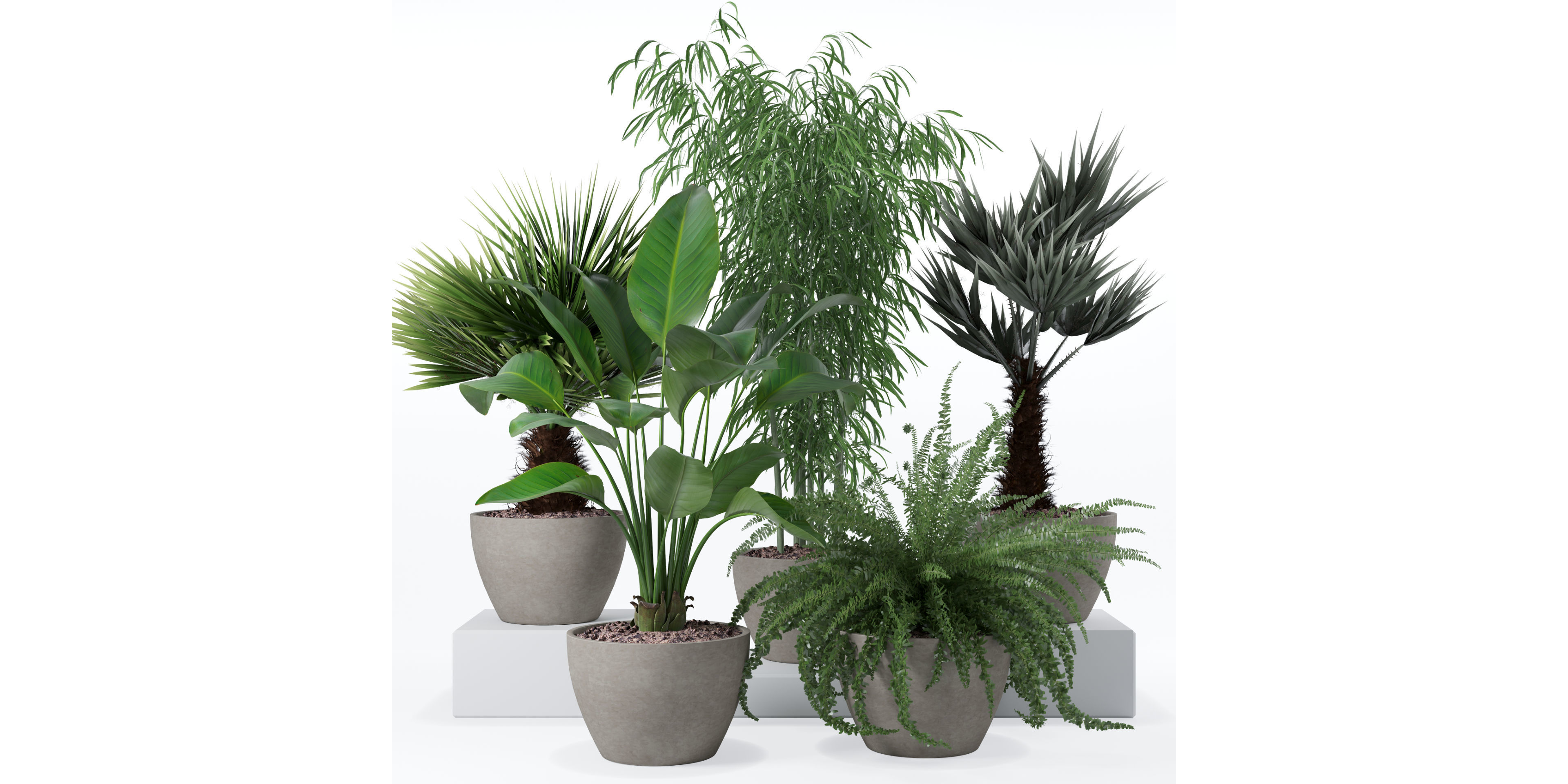 Plants collection 132 3D model_23