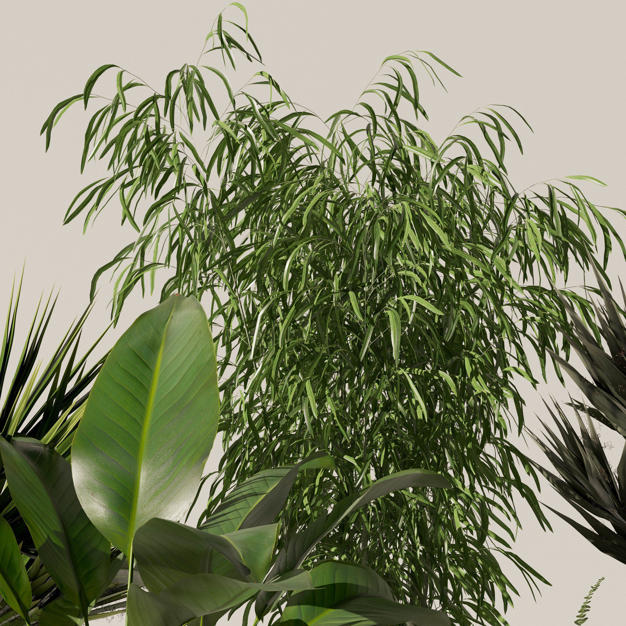 Plants collection 132 3D model_15