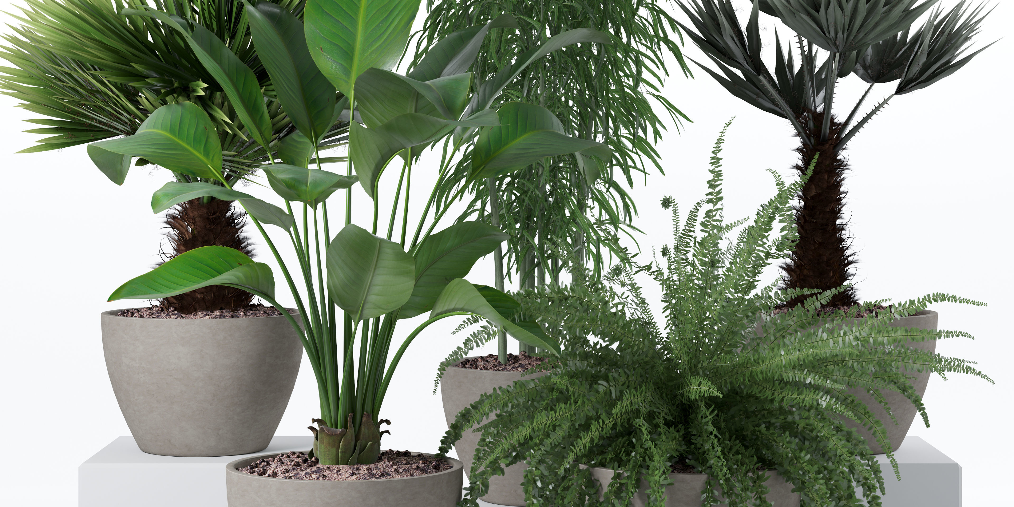 Plants collection 132 3D model_24