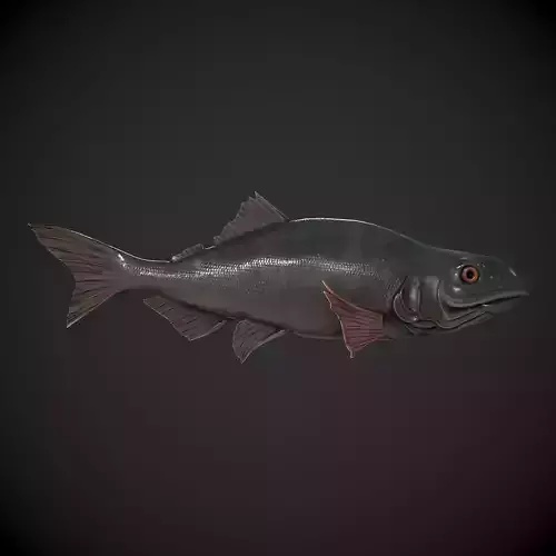 Freshwater Fish Low-poly 3D model
