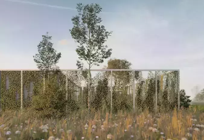 Lumion 12 Scene - Into the wild