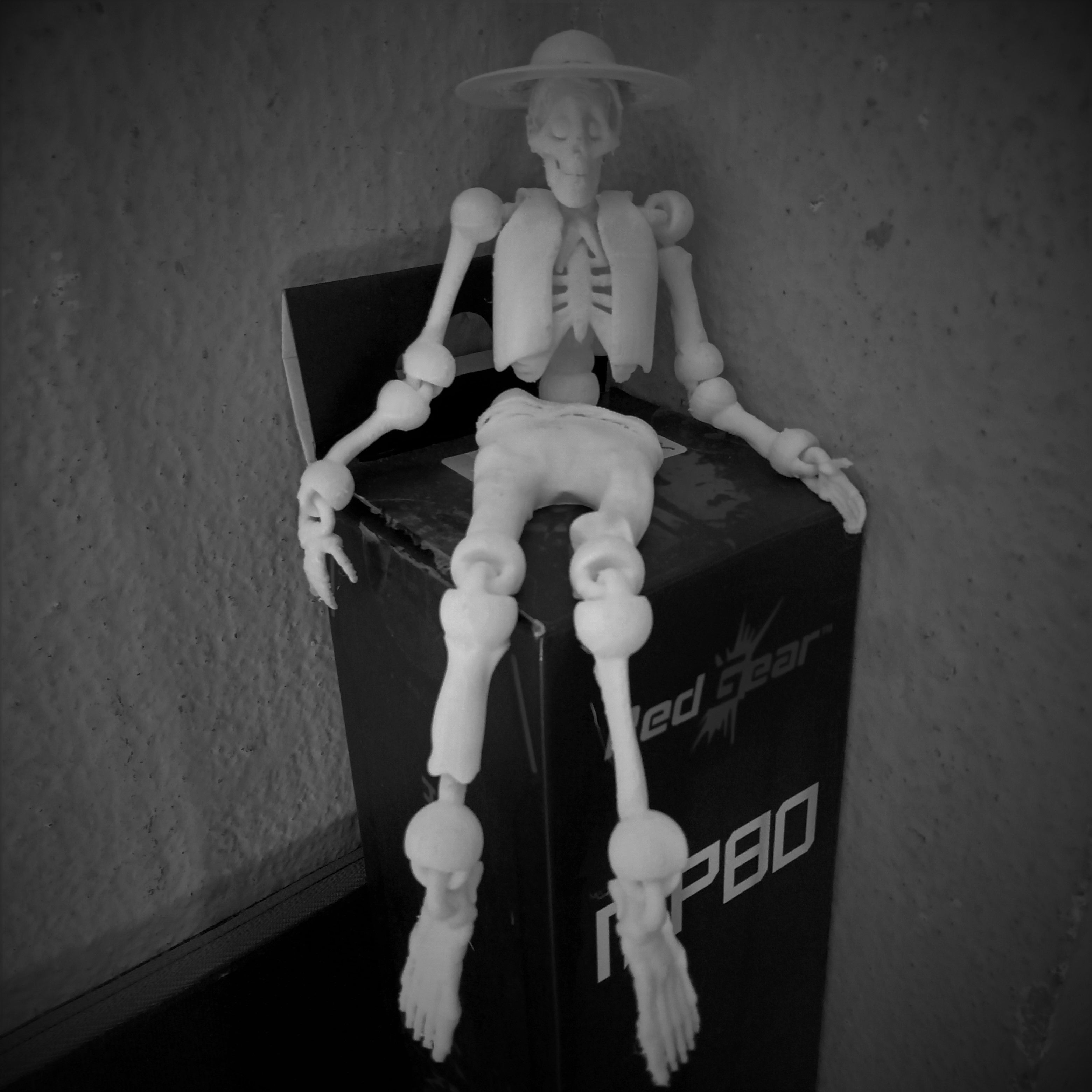 SKELETON HECTOR RIVERA FROM MOVIE COCO 3D print model_5