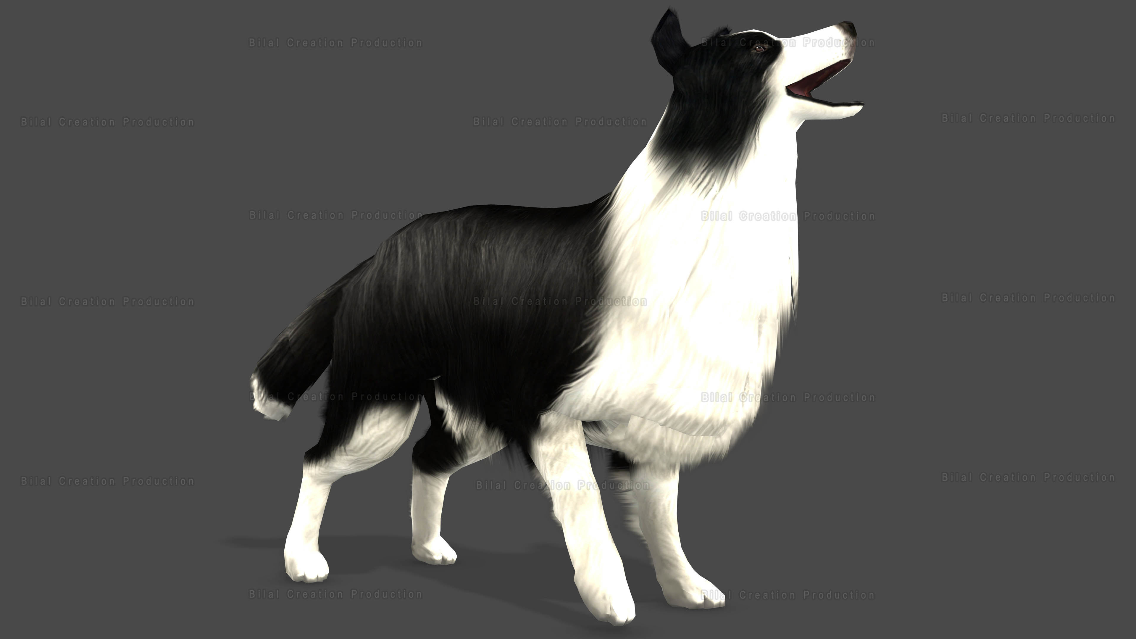 Sheep Dog Animated Low-poly 3D model_3