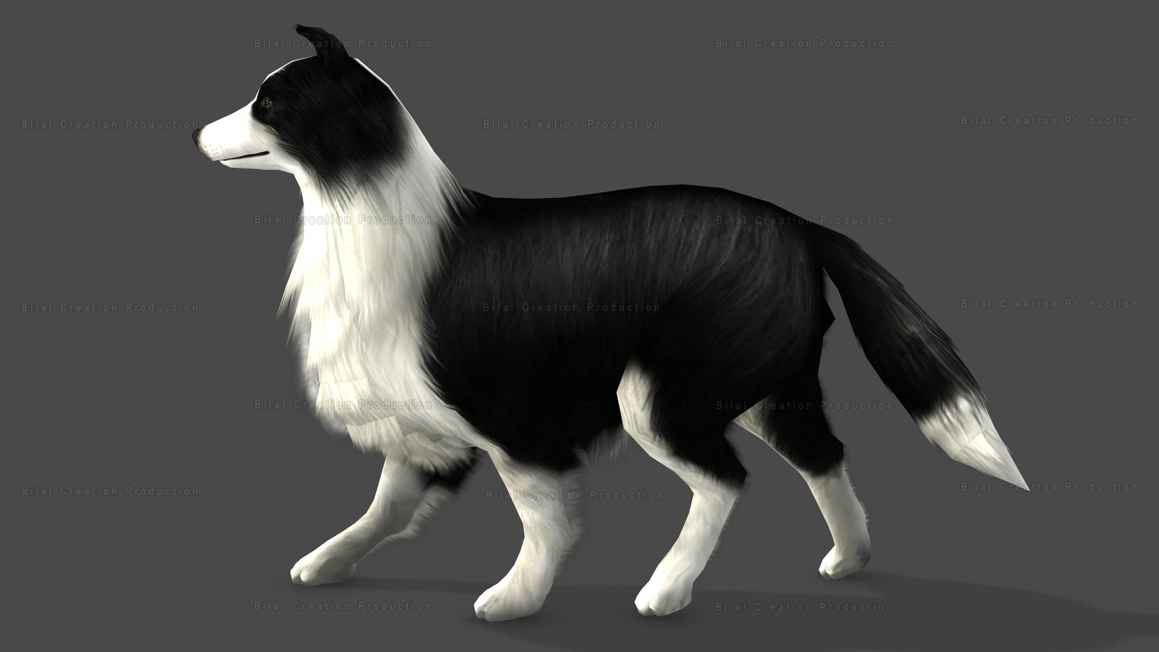 Sheep Dog Animated Low-poly 3D model_5