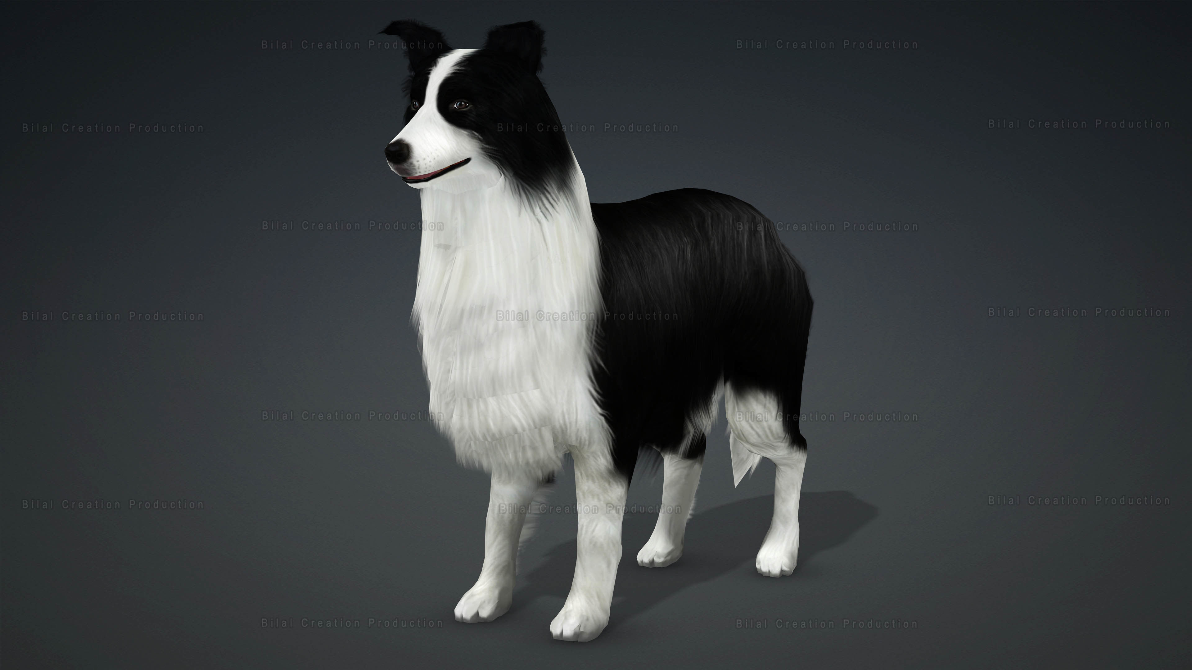 Sheep Dog Animated Low-poly 3D model_2