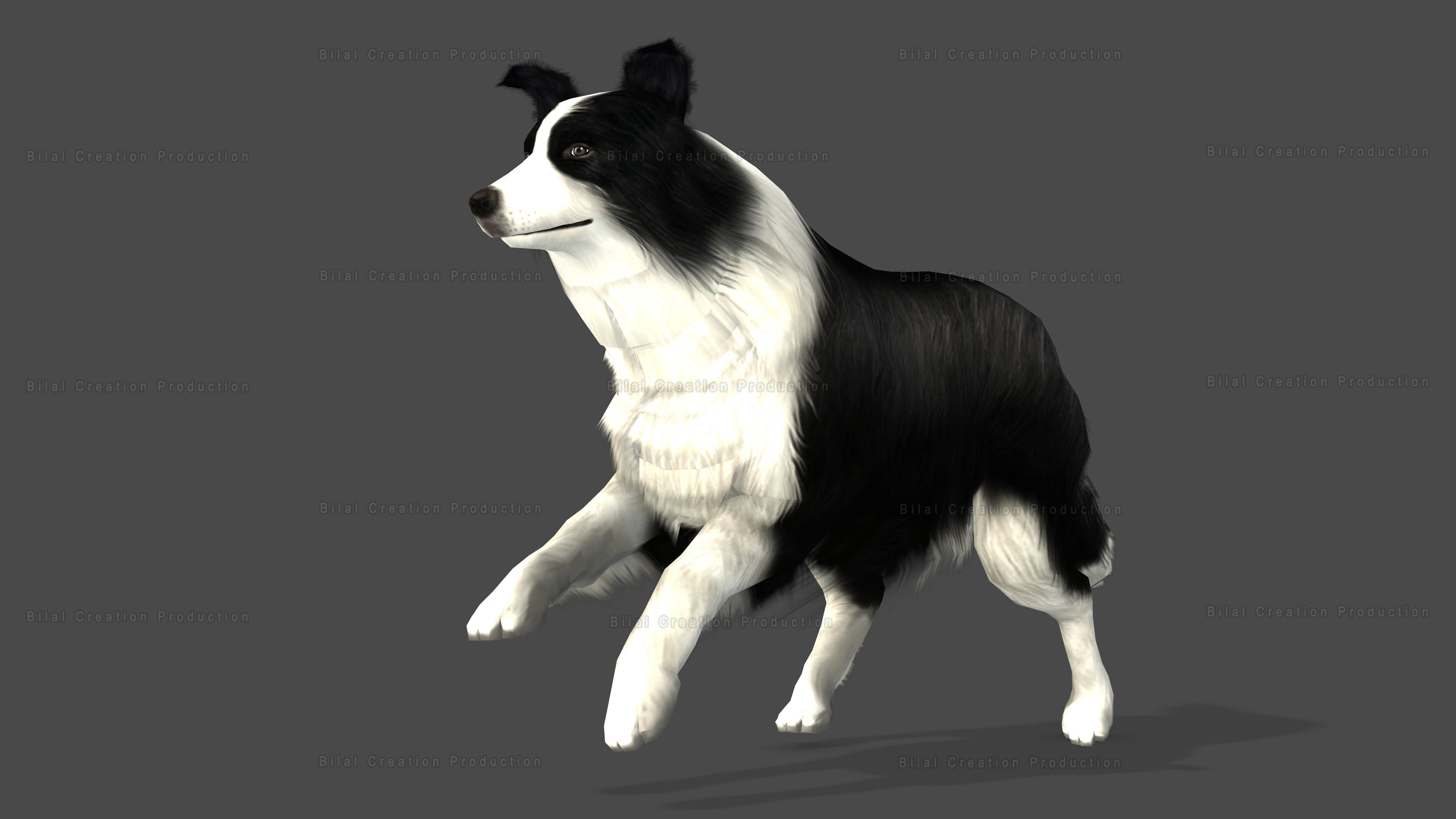 Sheep Dog Animated Low-poly 3D model_9