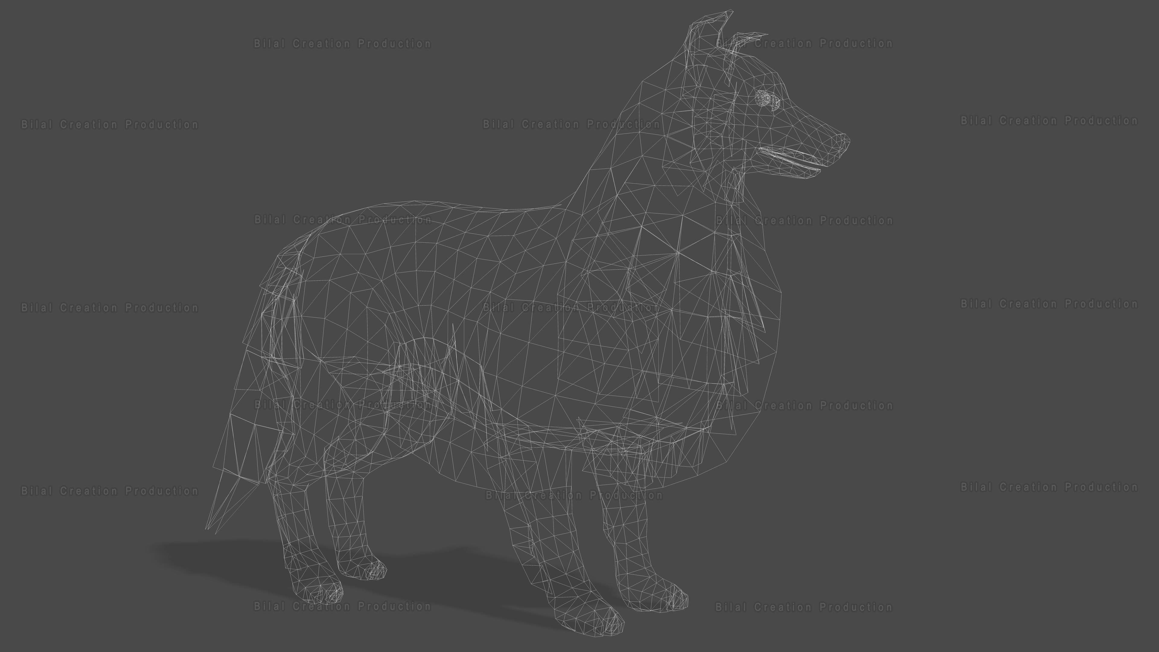 Sheep Dog Animated Low-poly 3D model_23