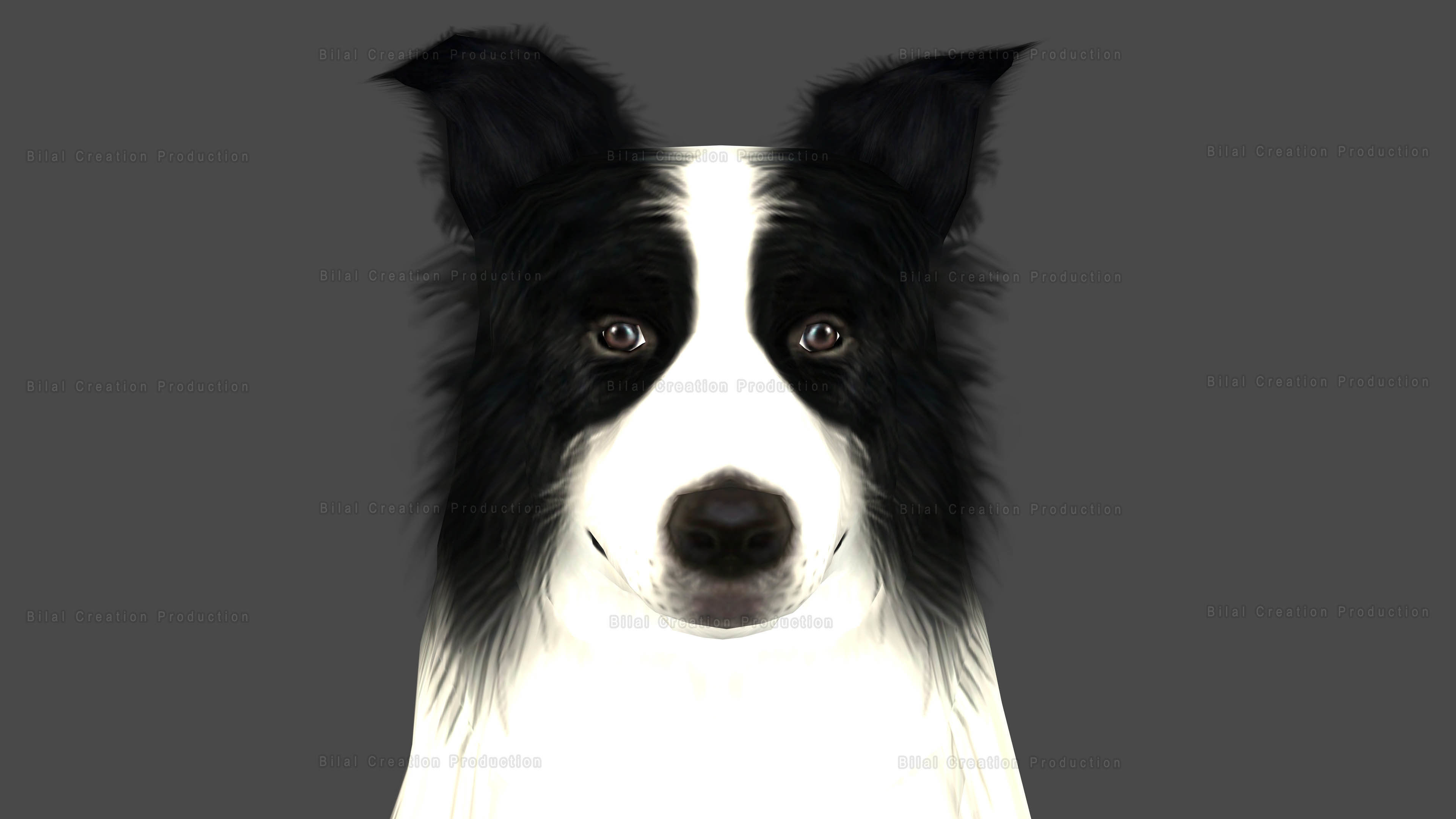 Sheep Dog Animated Low-poly 3D model_6