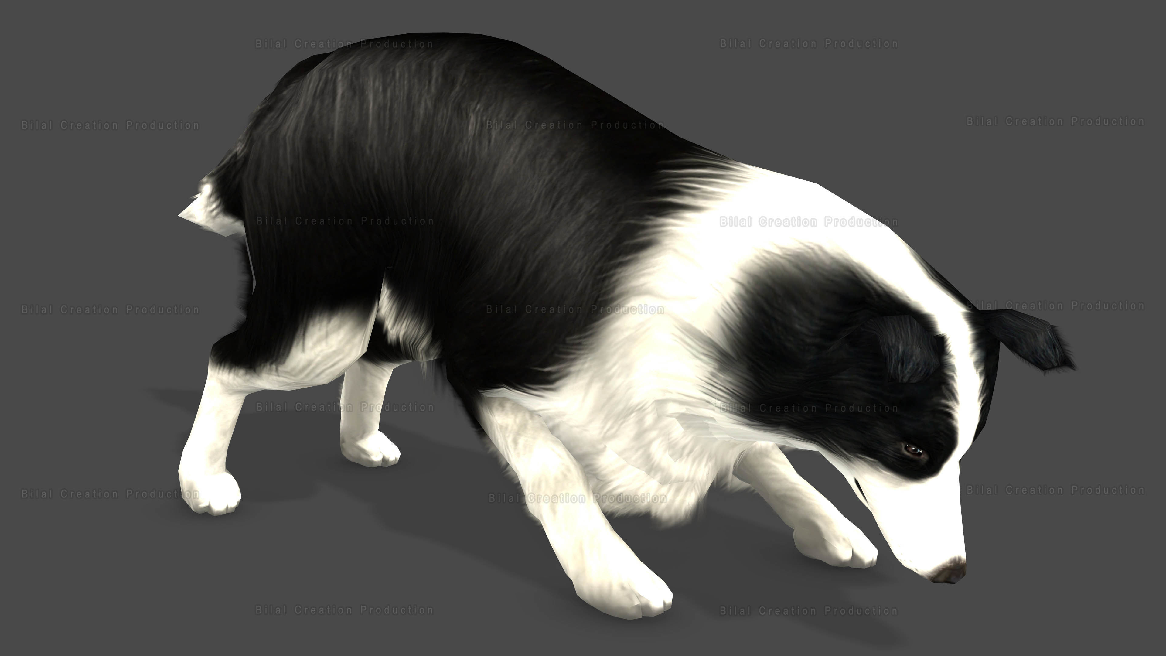 Sheep Dog Animated Low-poly 3D model_13
