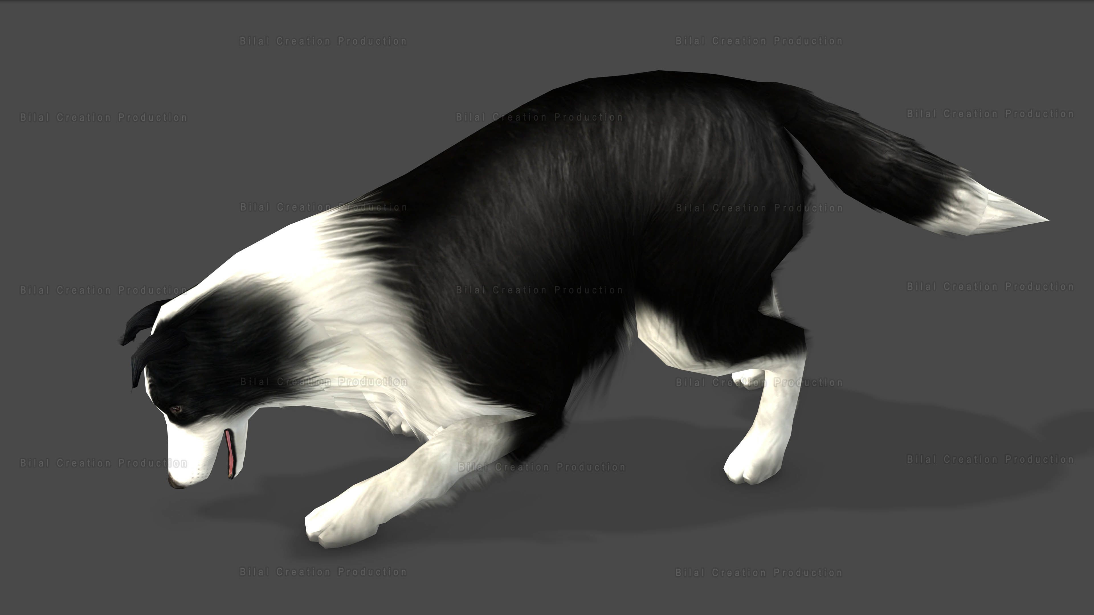 Sheep Dog Animated Low-poly 3D model_11
