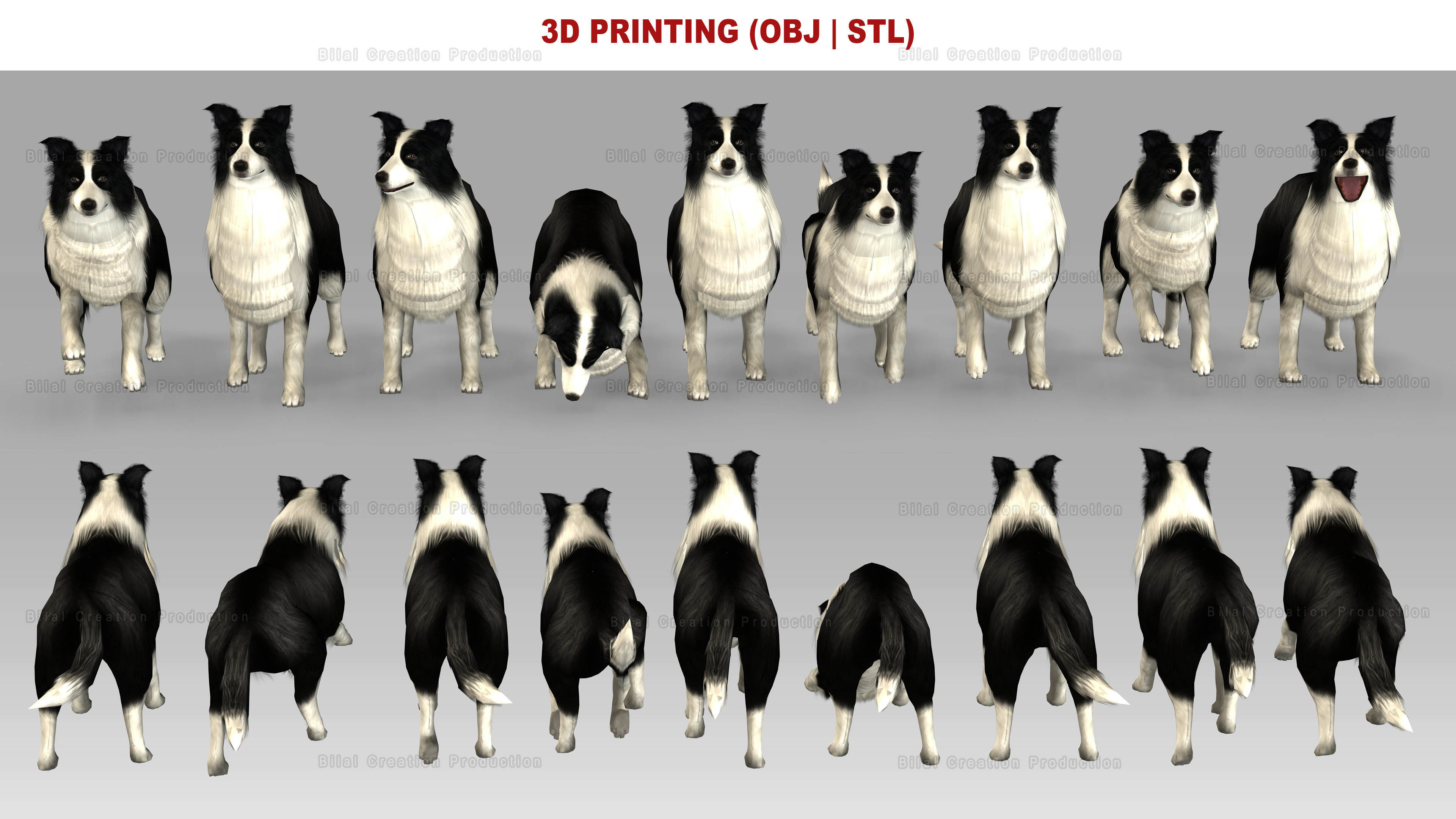 Sheep Dog Animated Low-poly 3D model_16