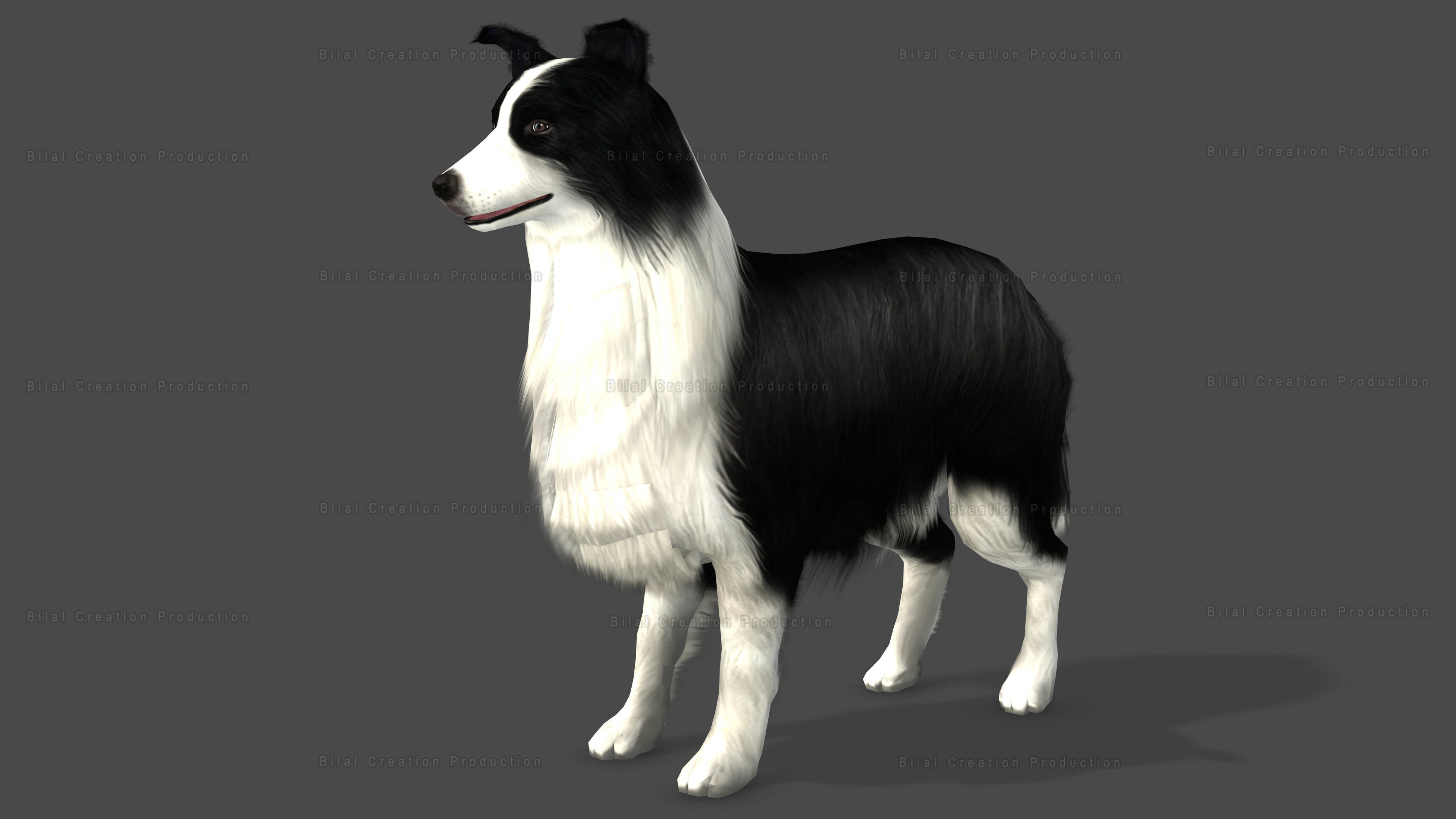 Sheep Dog Animated Low-poly 3D model_4