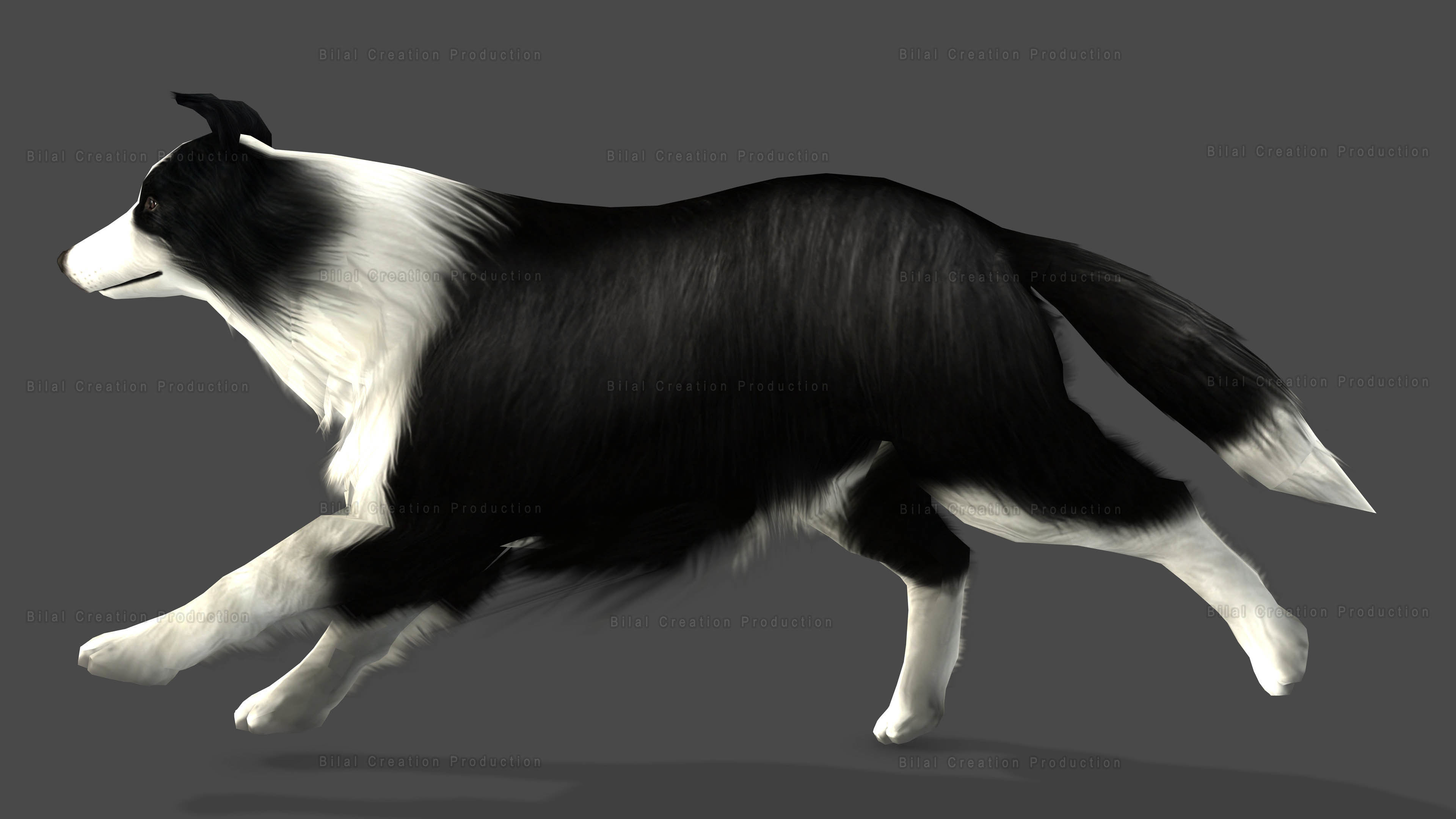 Sheep Dog Animated Low-poly 3D model_10