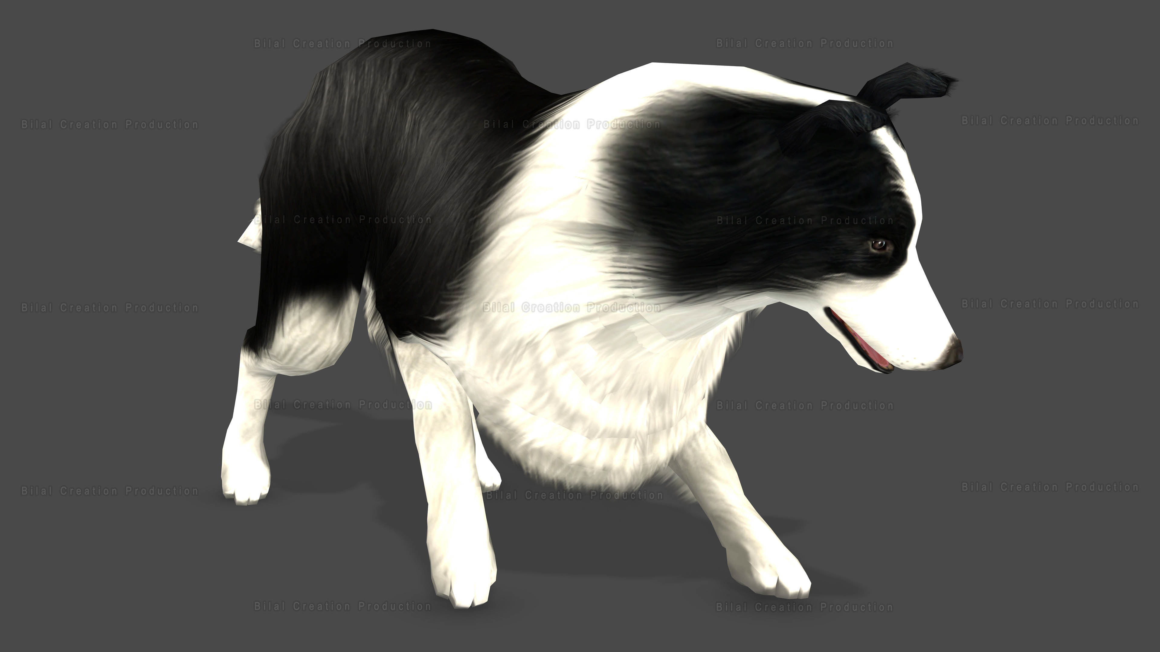 Sheep Dog Animated Low-poly 3D model_14