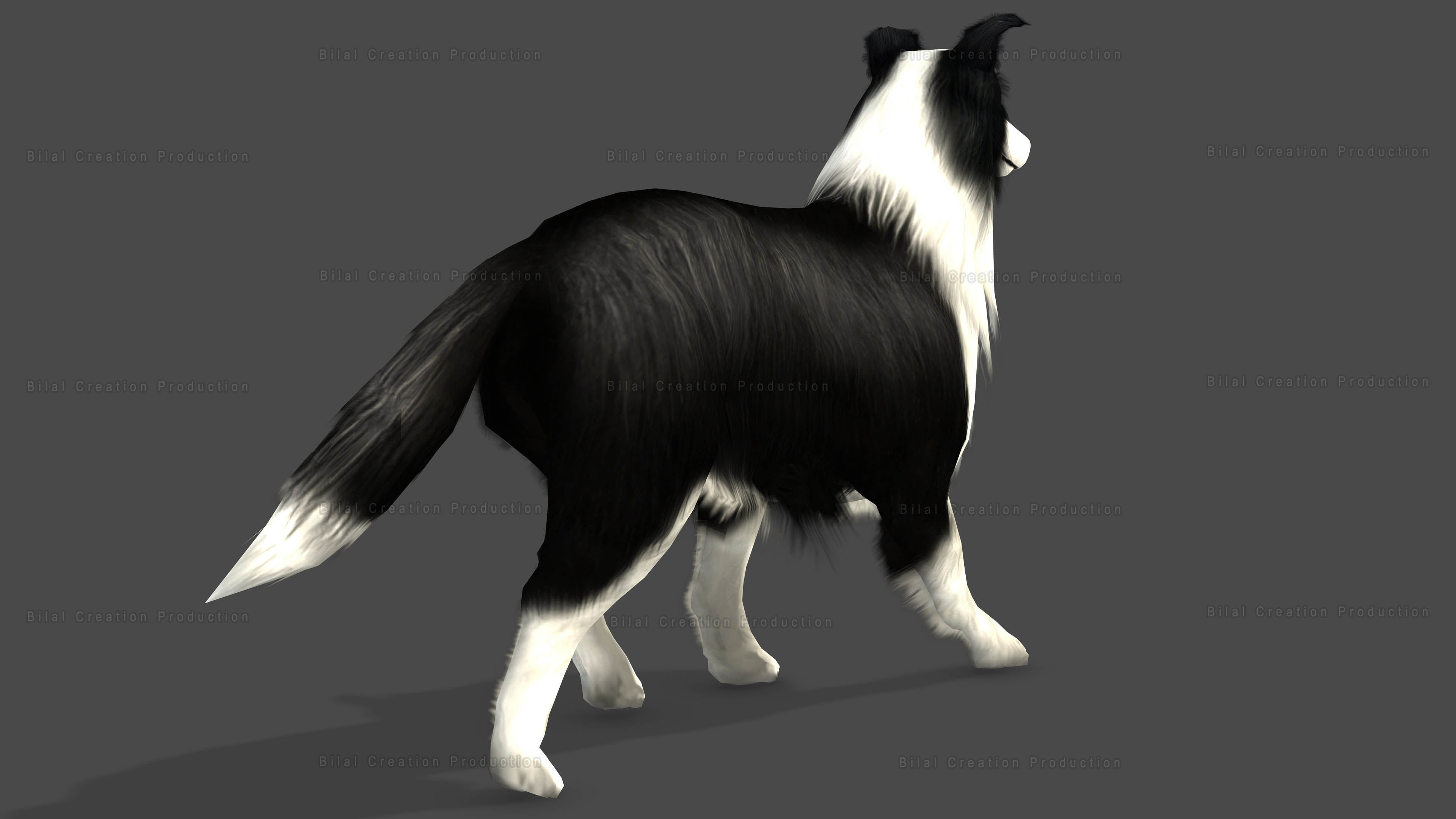Sheep Dog Animated Low-poly 3D model_8