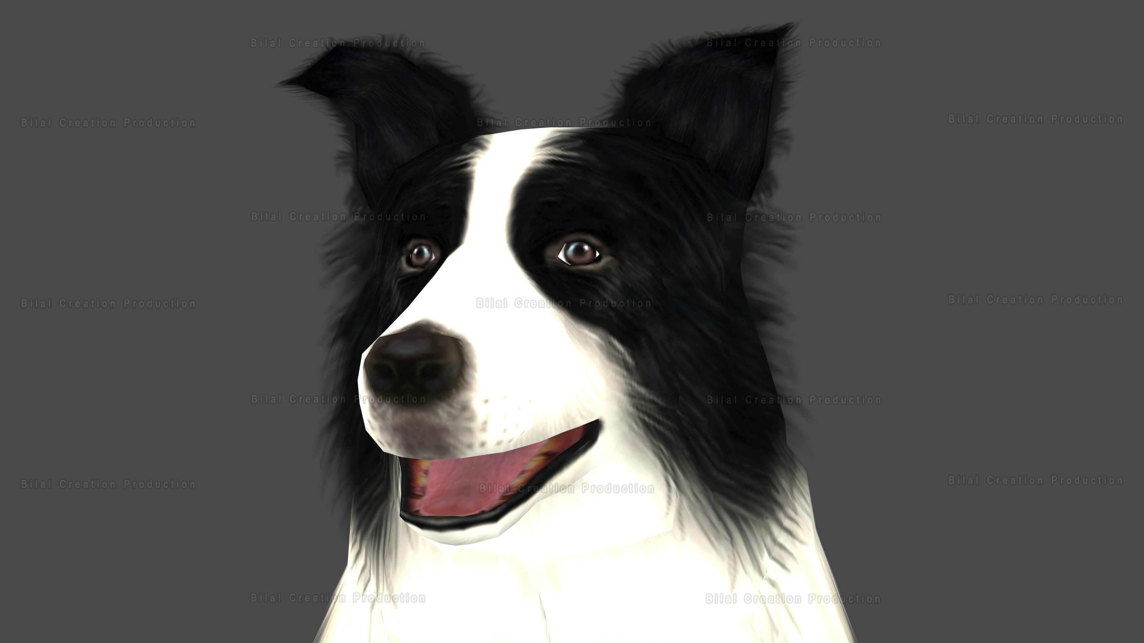 Sheep Dog Animated Low-poly 3D model_7