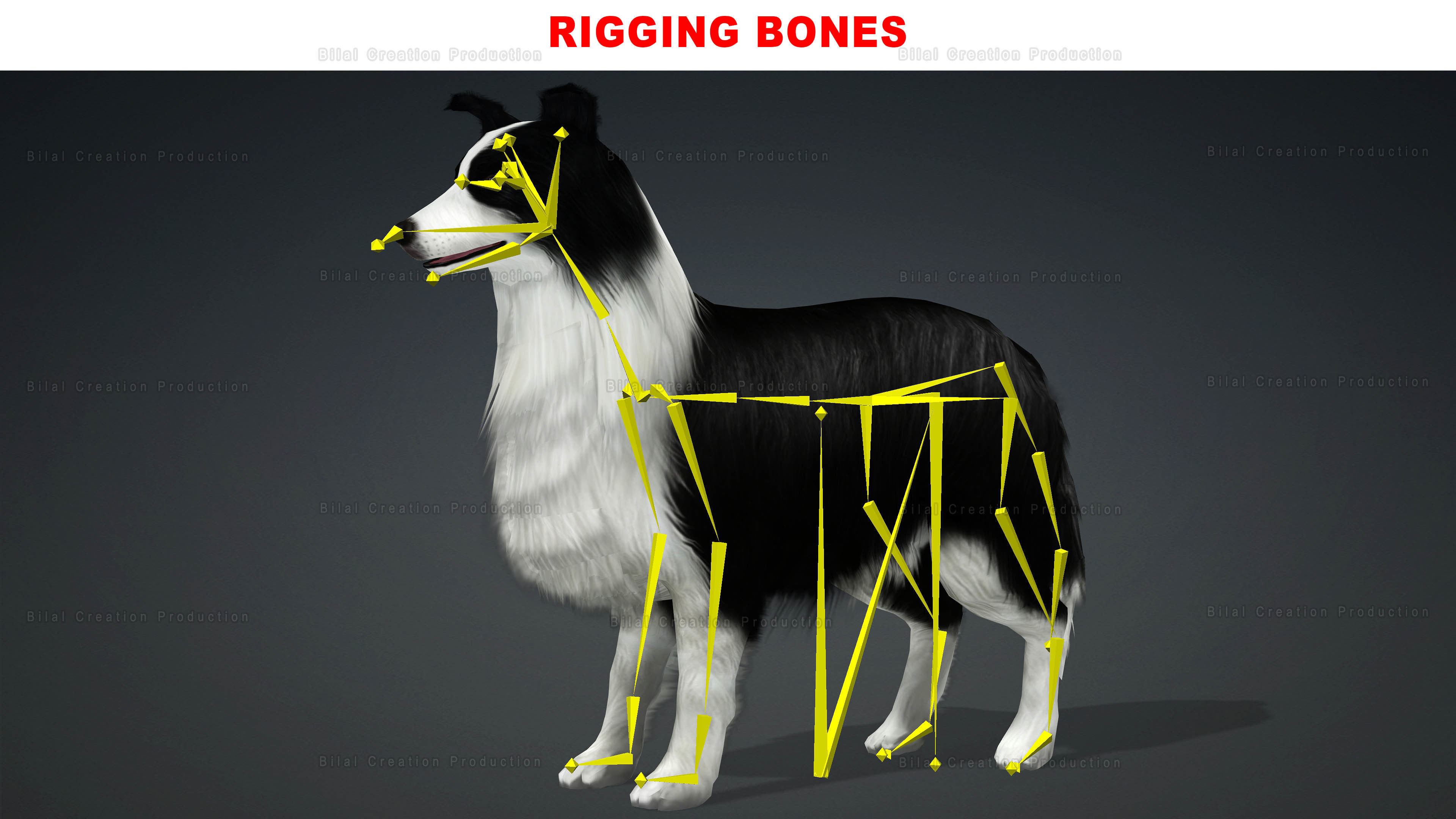 Sheep Dog Animated Low-poly 3D model_15