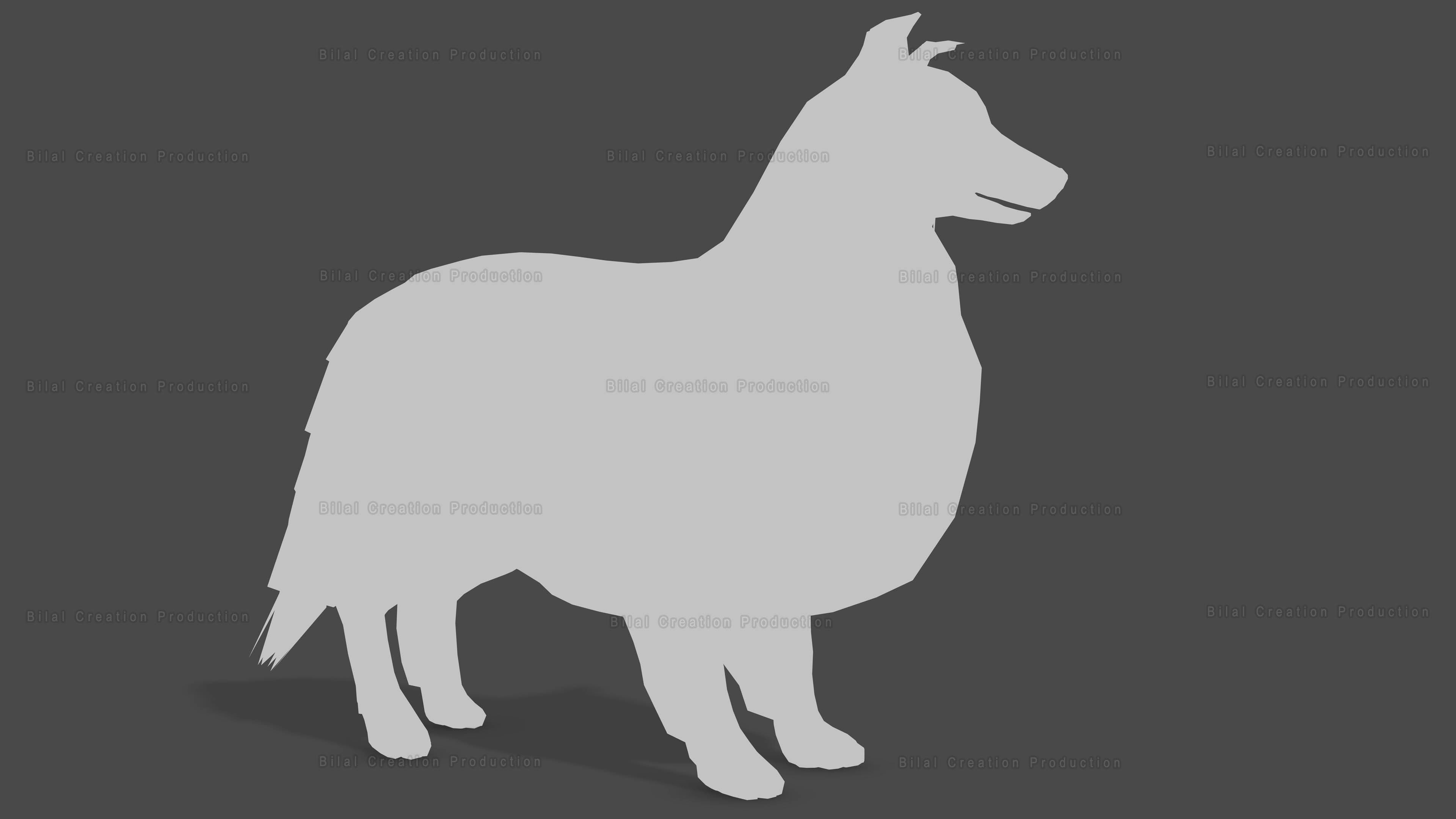Sheep Dog Animated Low-poly 3D model_21
