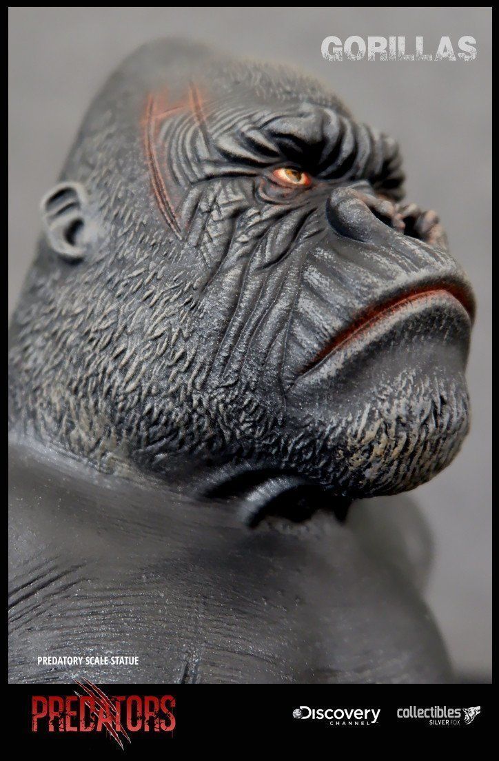 Silverback Gorilla 3D Model 3D print model_7