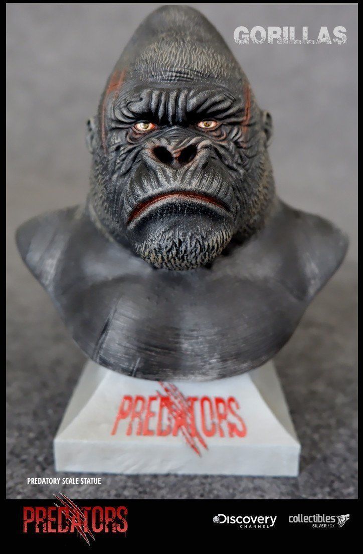 Silverback Gorilla 3D Model 3D print model_2