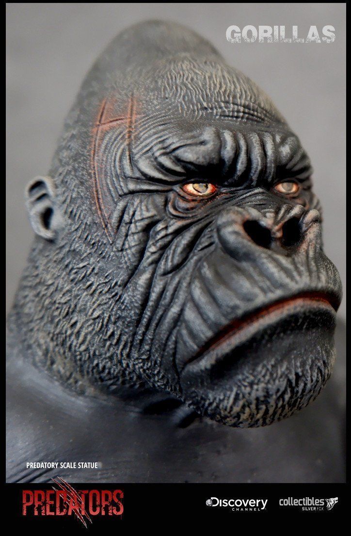 Silverback Gorilla 3D Model 3D print model_1