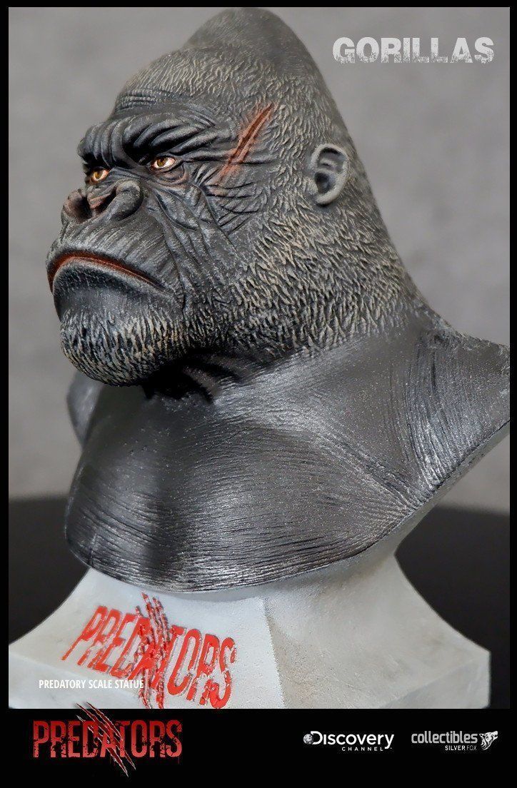 Silverback Gorilla 3D Model 3D print model_5
