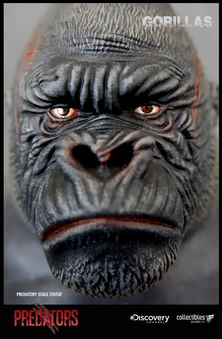 Silverback Gorilla 3D Model 3D print model_8