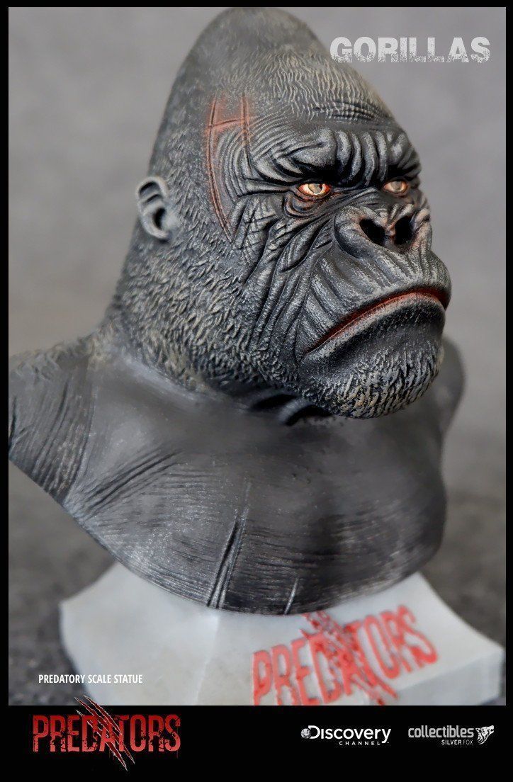 Silverback Gorilla 3D Model 3D print model_3