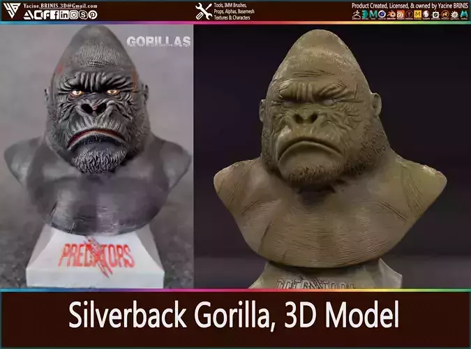 Silverback Gorilla 3D Model