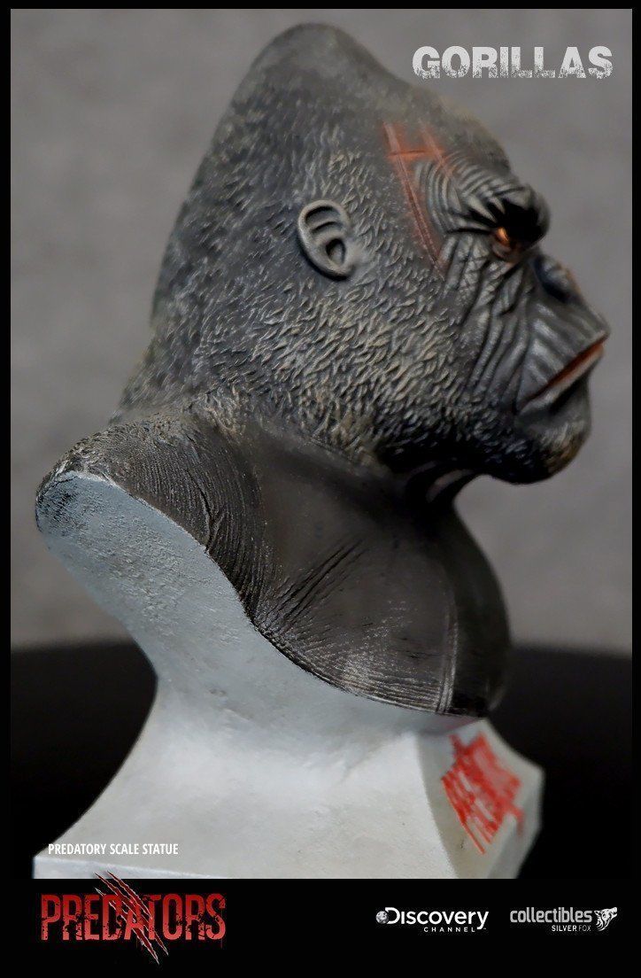 Silverback Gorilla 3D Model 3D print model_4