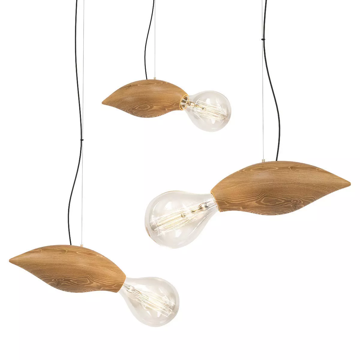 Lofter Swarm 3D model_0