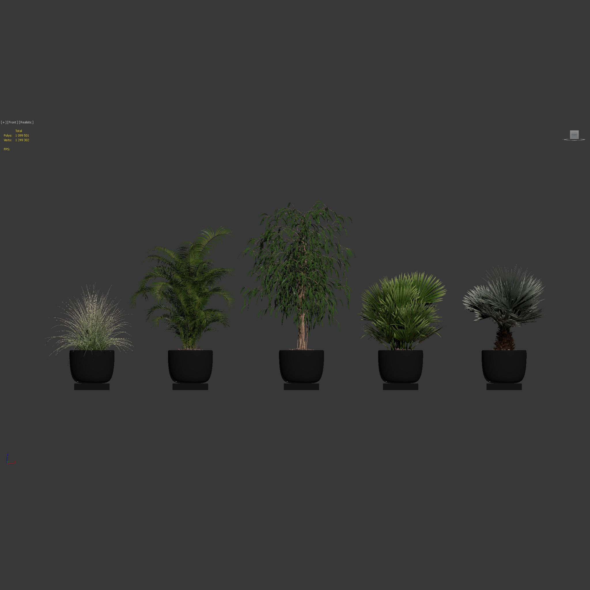 Plants collection 135 3D model_25