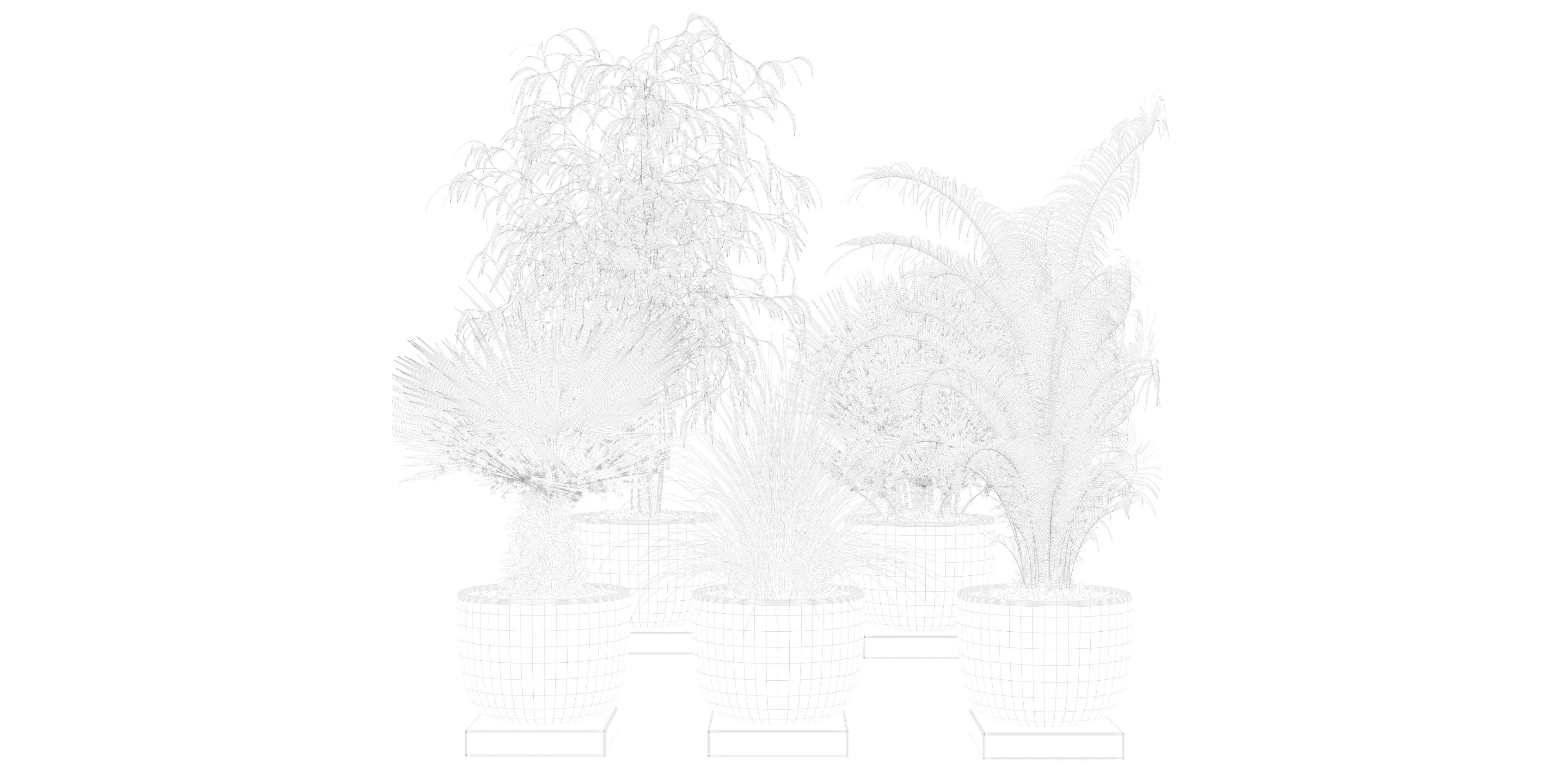 Plants collection 135 3D model_20