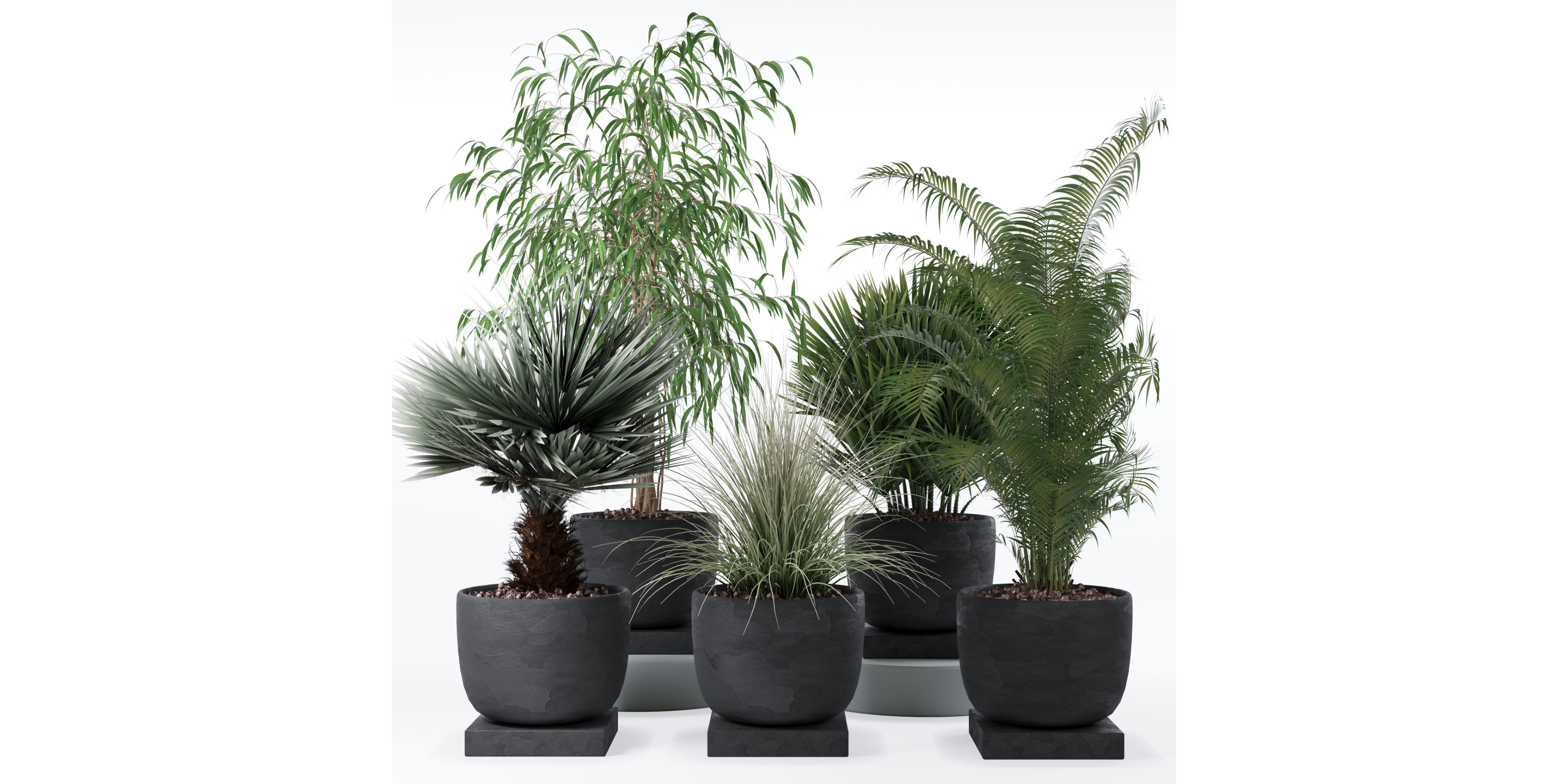 Plants collection 135 3D model_21