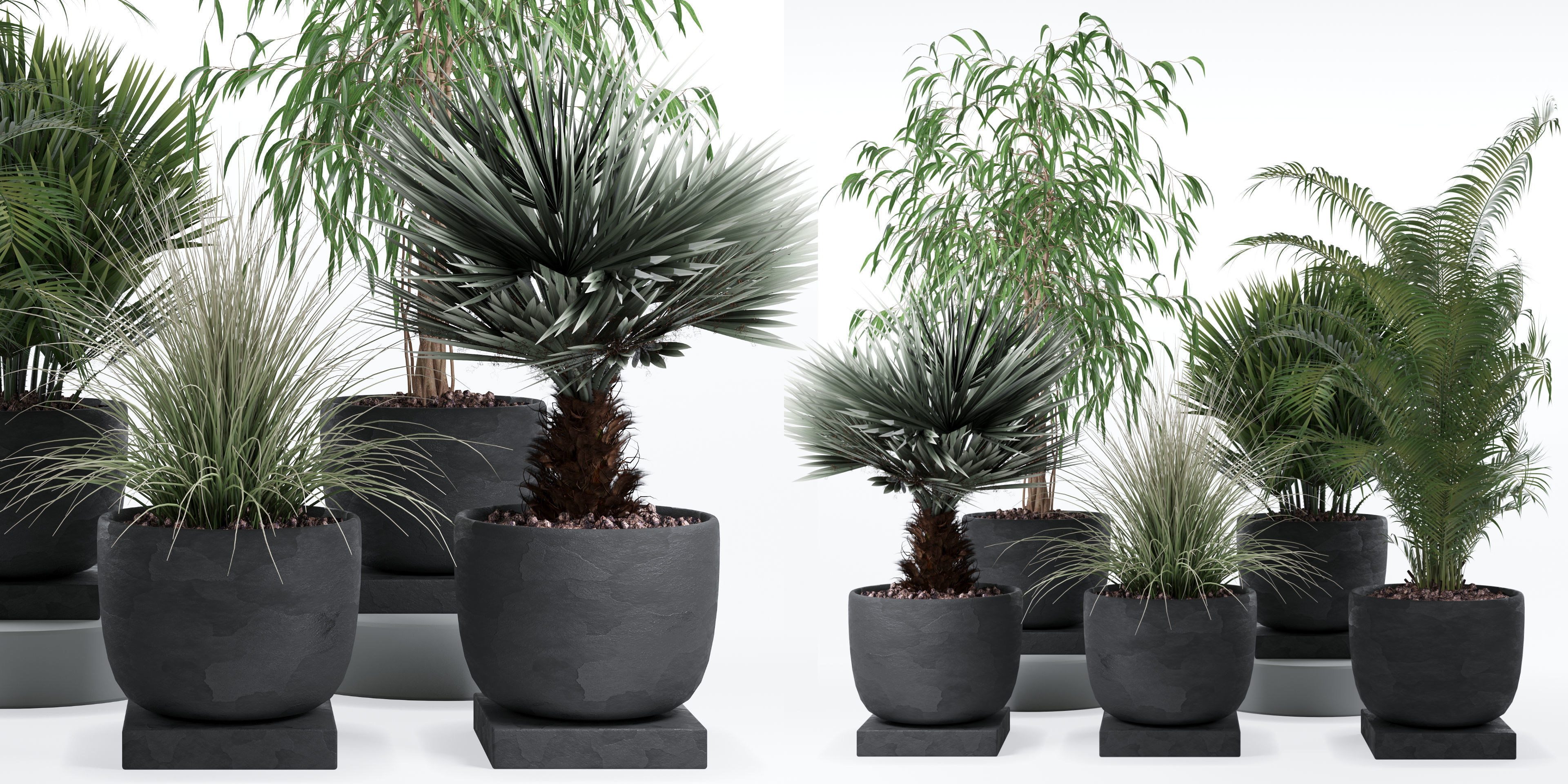 Plants collection 135 3D model_6