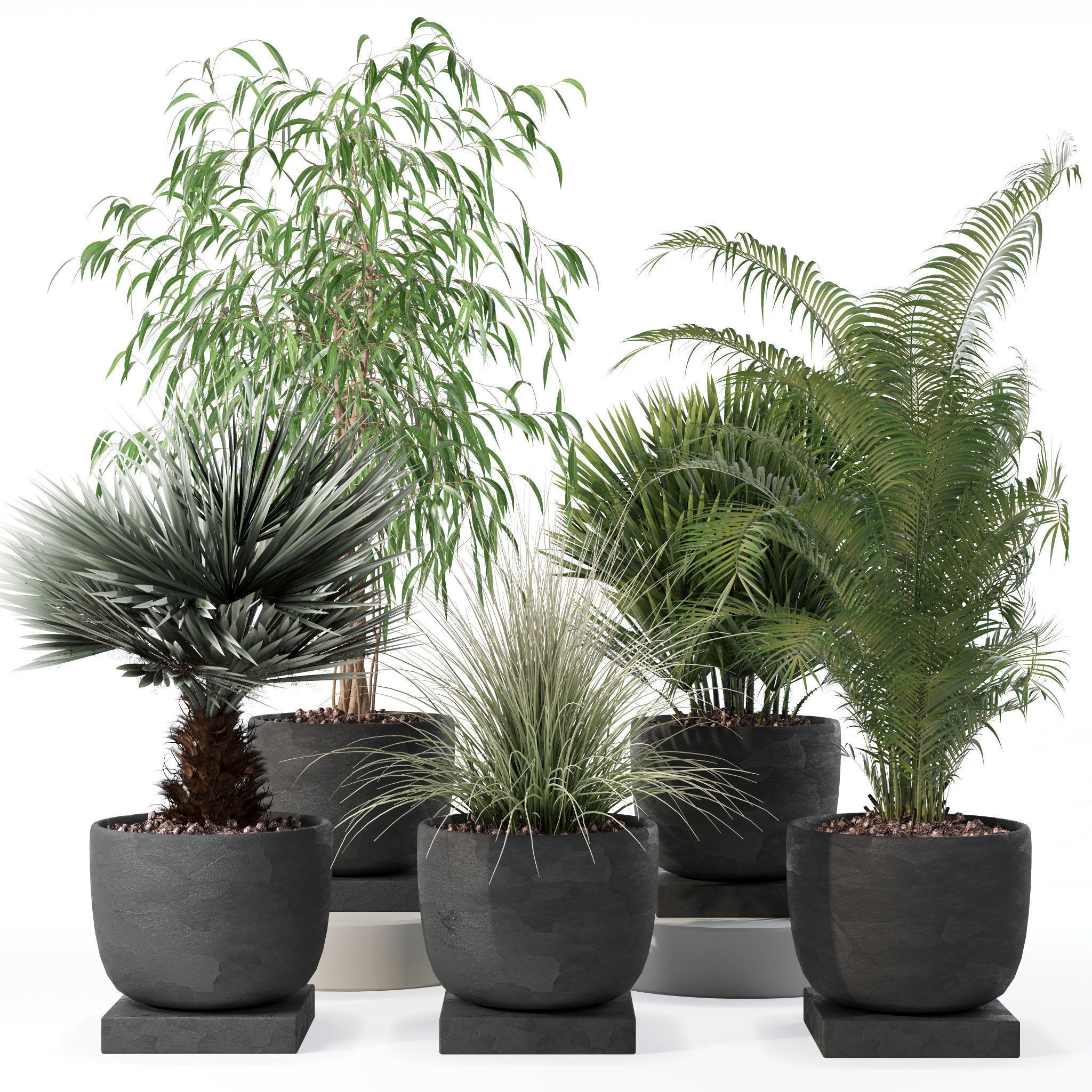Plants collection 135 3D model_19