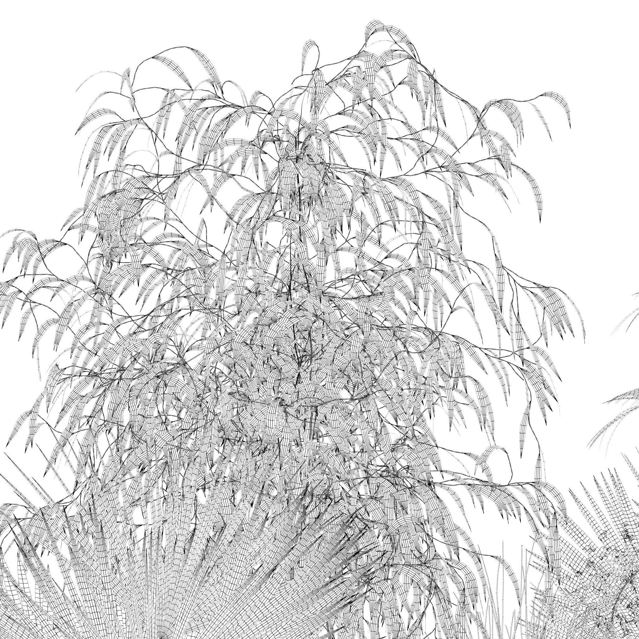 Plants collection 135 3D model_36