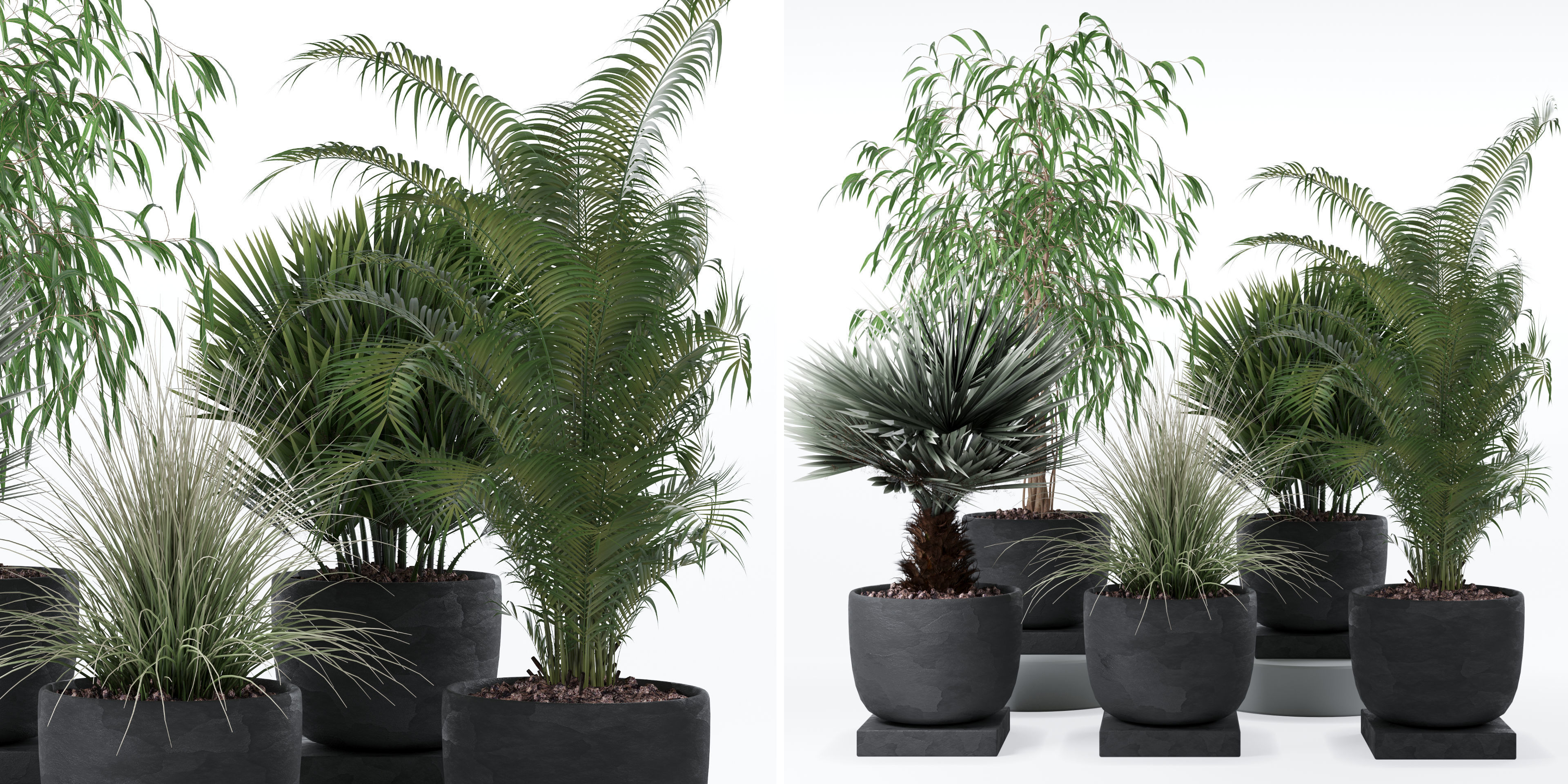 Plants collection 135 3D model_22