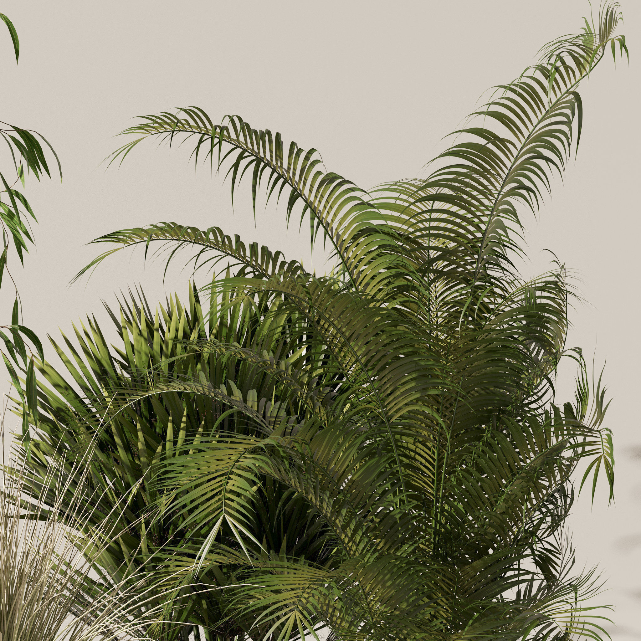 Plants collection 135 3D model_14