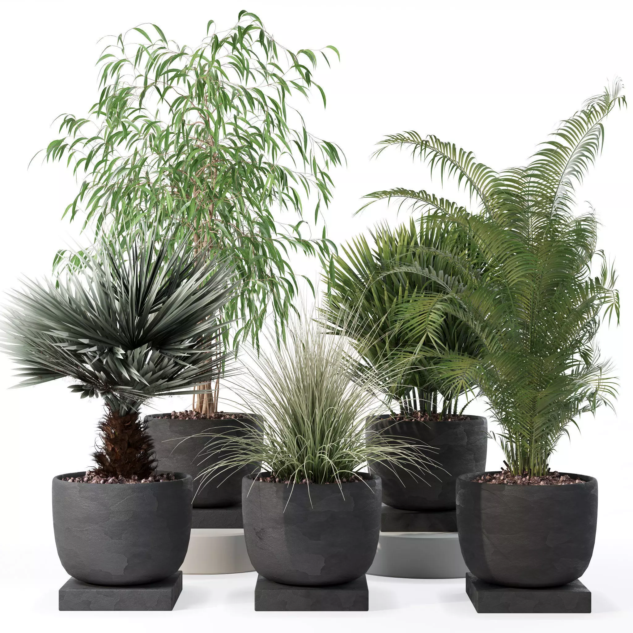 Plants collection 135 3D model_0