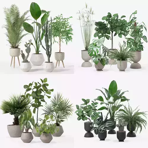 20 Photorealistic Flowers for Interiors - set 119 127 124 126 3D Model Collection