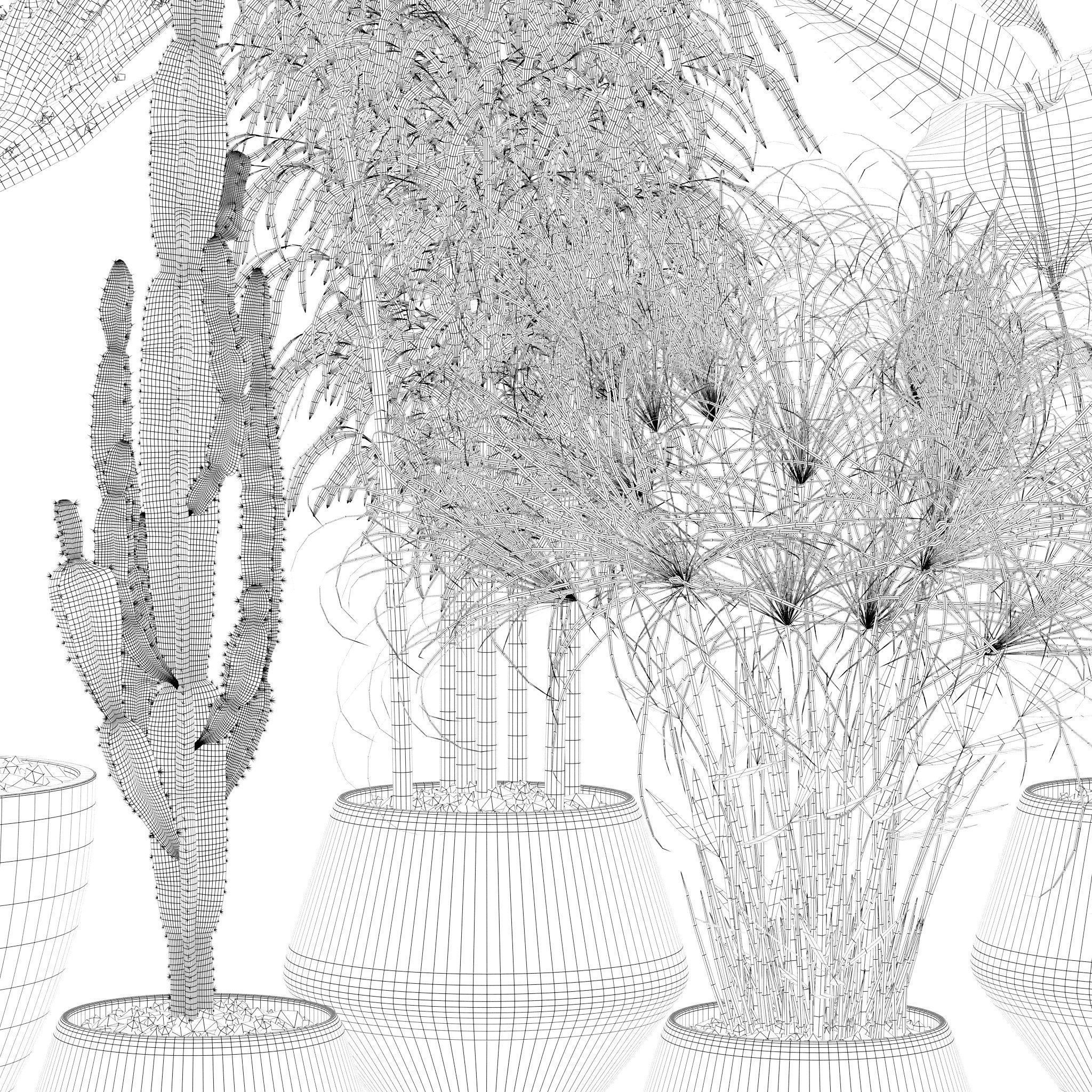 20 Photorealistic Flowers for Interiors - set 120 121 129 130 3D Model Collection_19