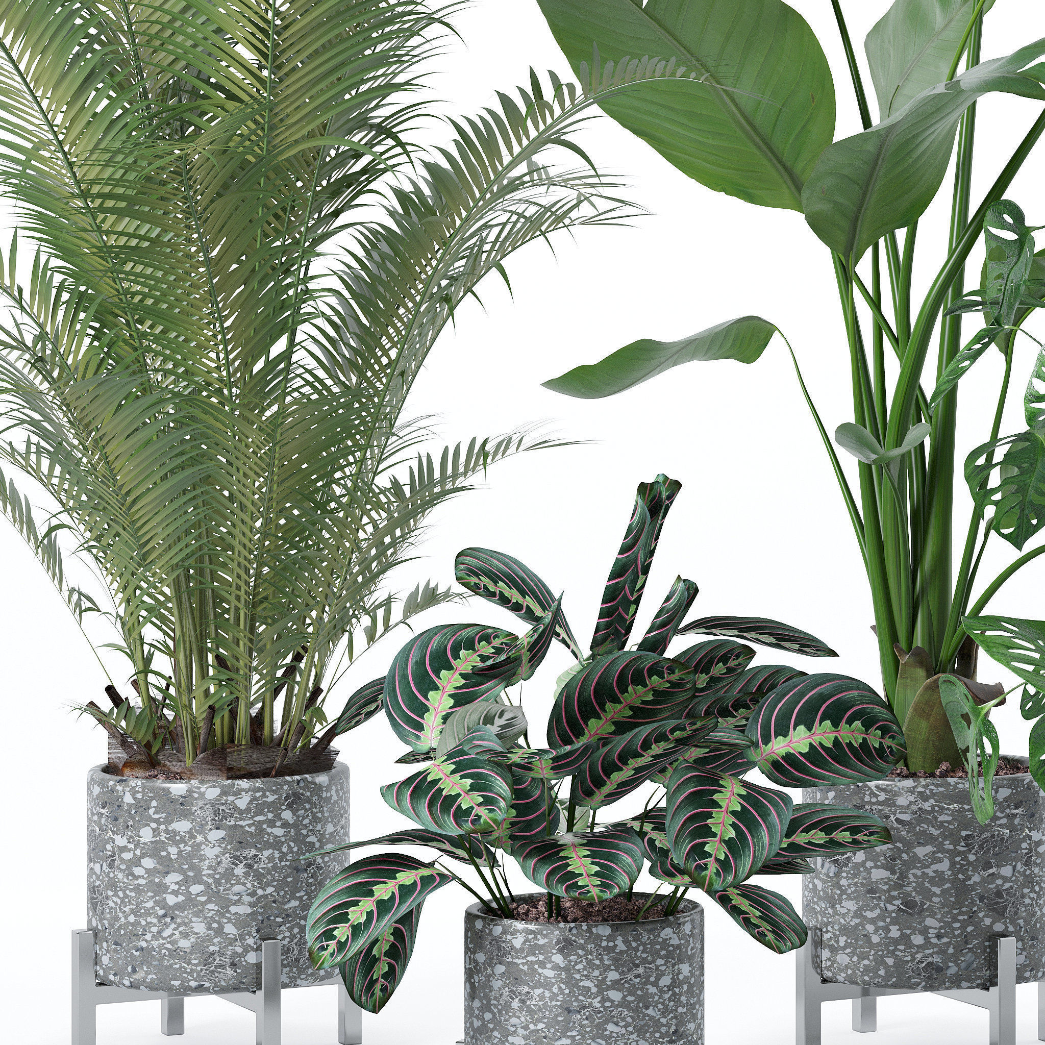 20 Photorealistic Flowers for Interiors - set 120 121 129 130 3D Model Collection_31