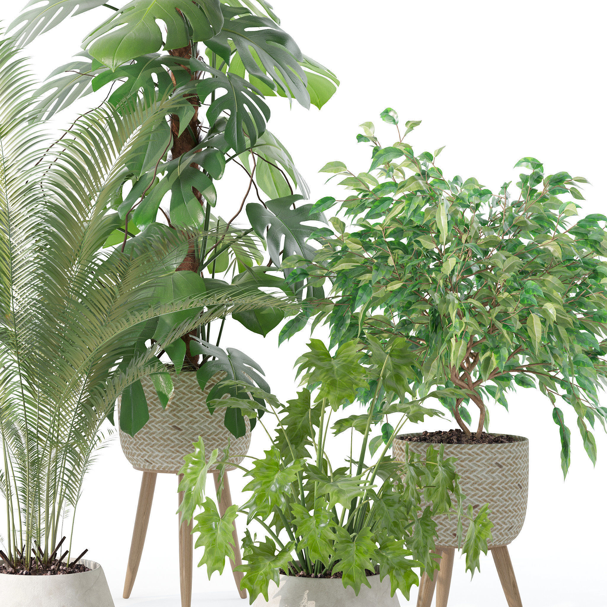 20 Photorealistic Flowers for Interiors - set 120 121 129 130 3D Model Collection_18