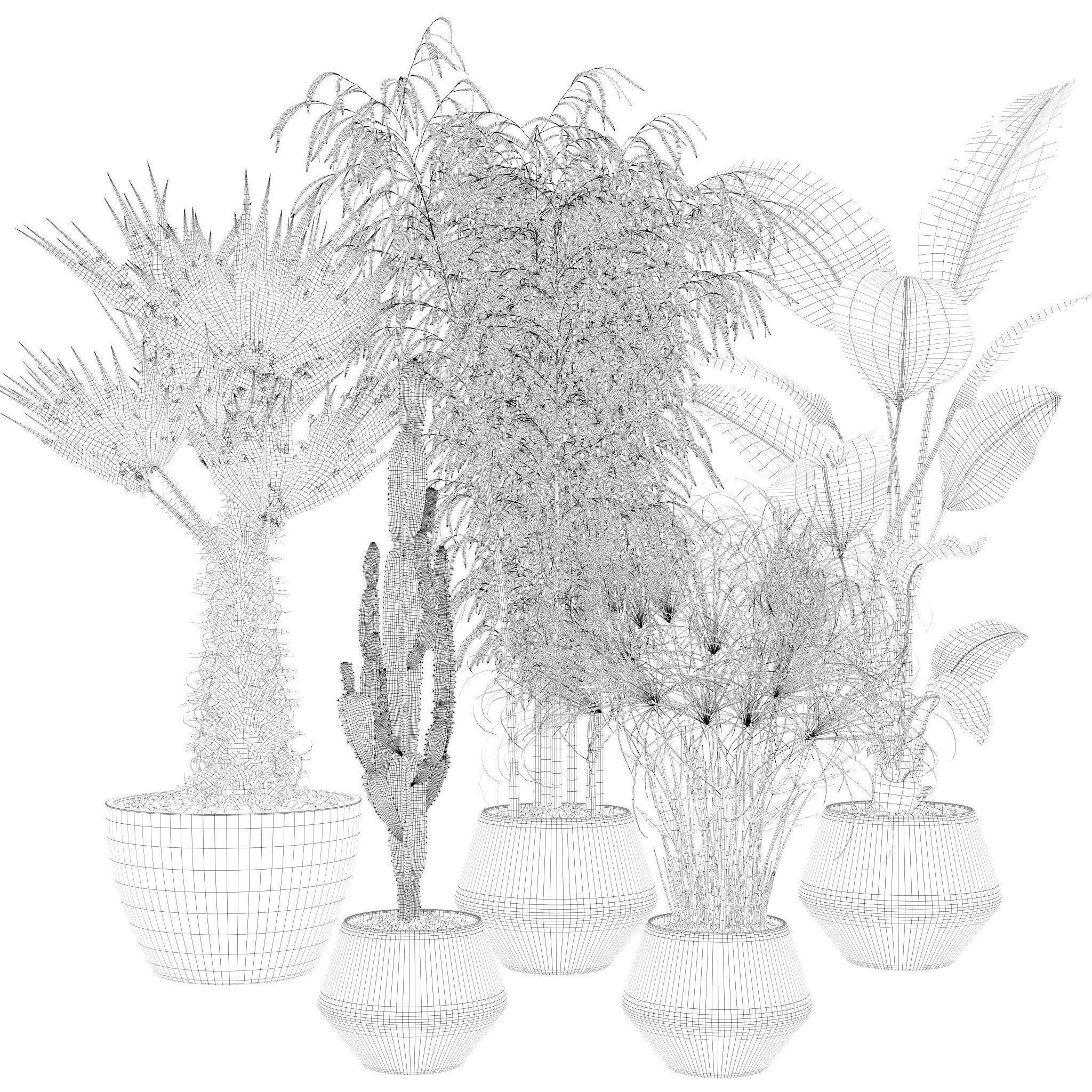 20 Photorealistic Flowers for Interiors - set 120 121 129 130 3D Model Collection_24